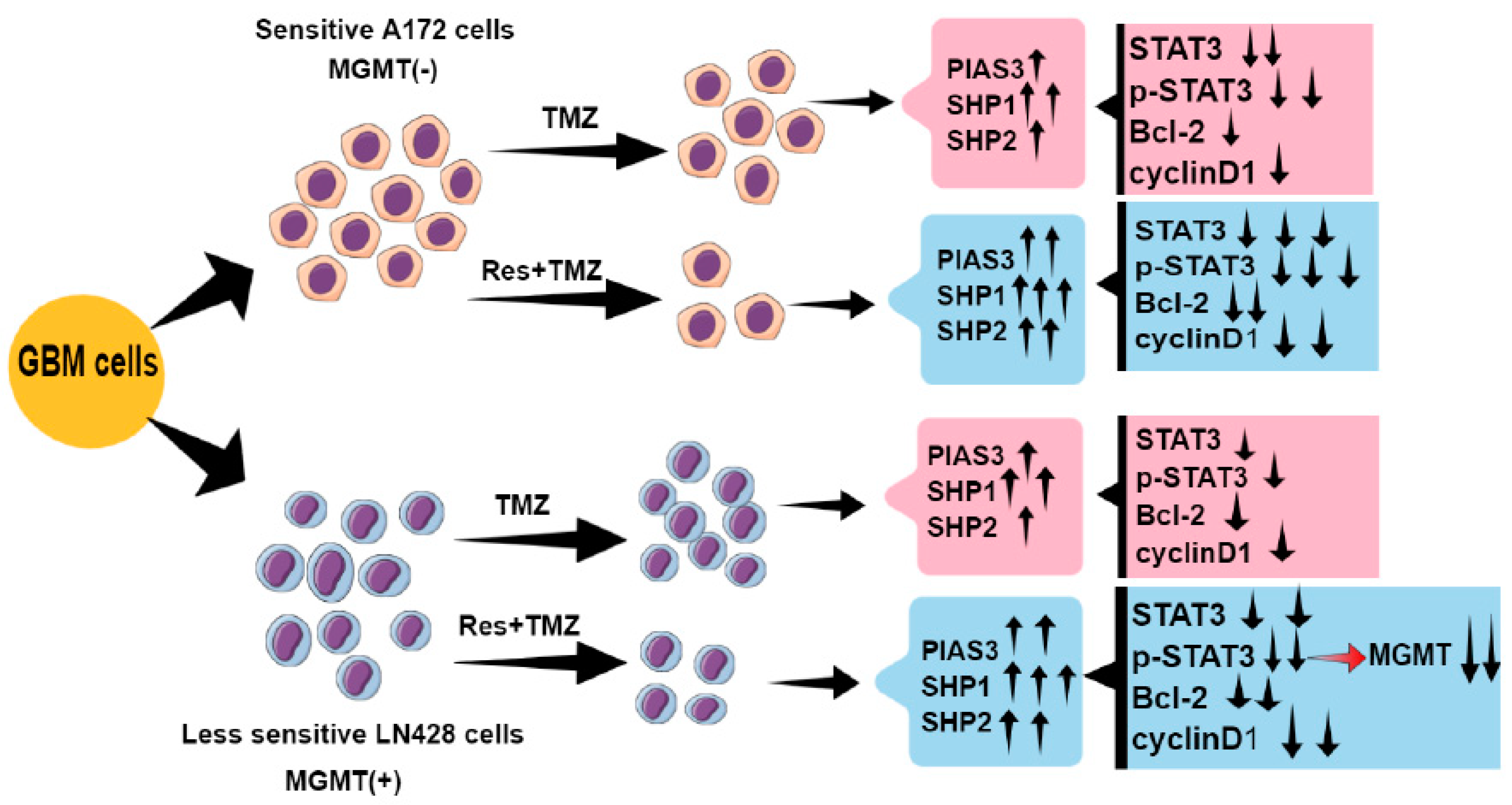 Ijms 24 09453 g006 Ijms 24 09453 g006