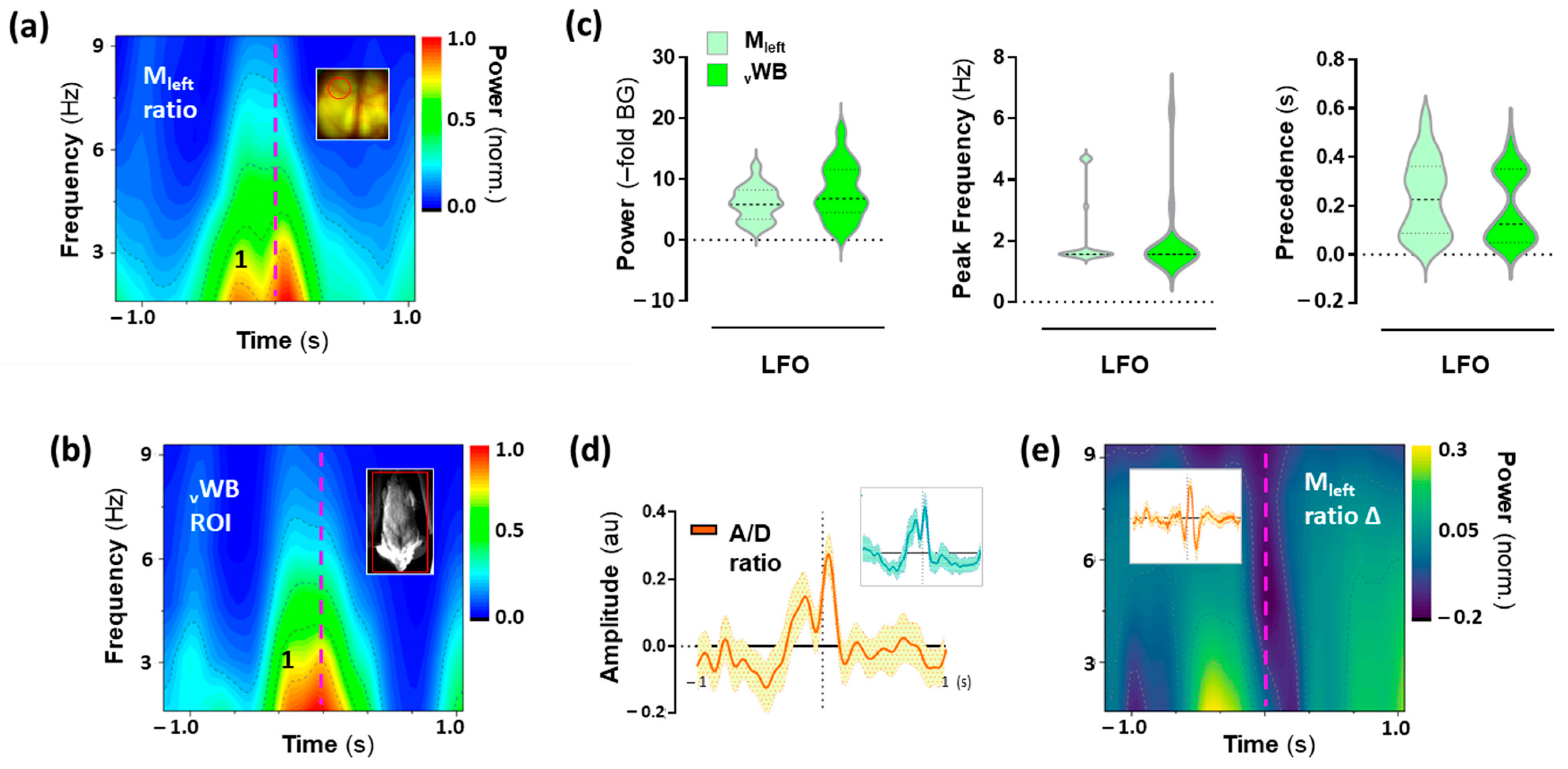 Ijms 24 09463 g005 Ijms 24 09463 g005