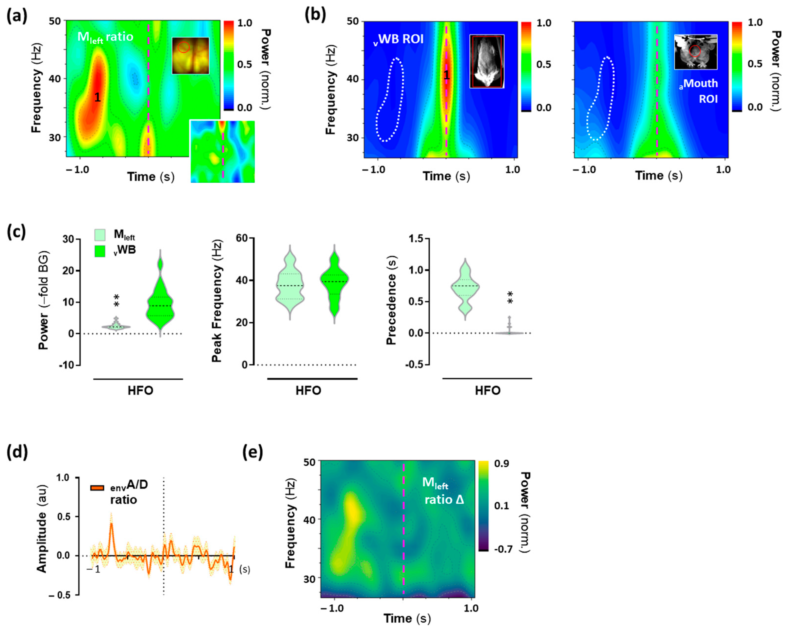 Ijms 24 09463 g006 Ijms 24 09463 g006