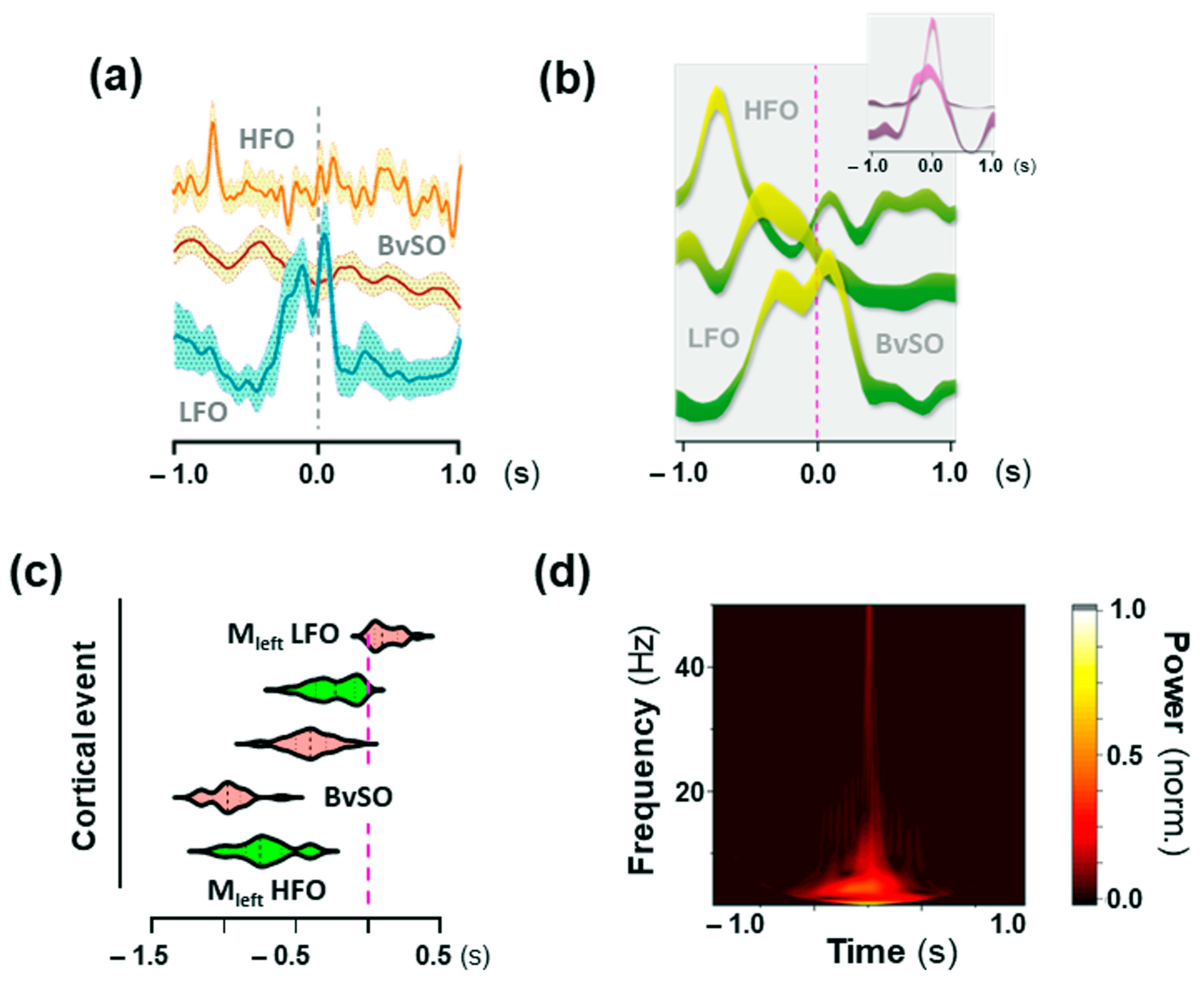 Ijms 24 09463 g007 Ijms 24 09463 g007