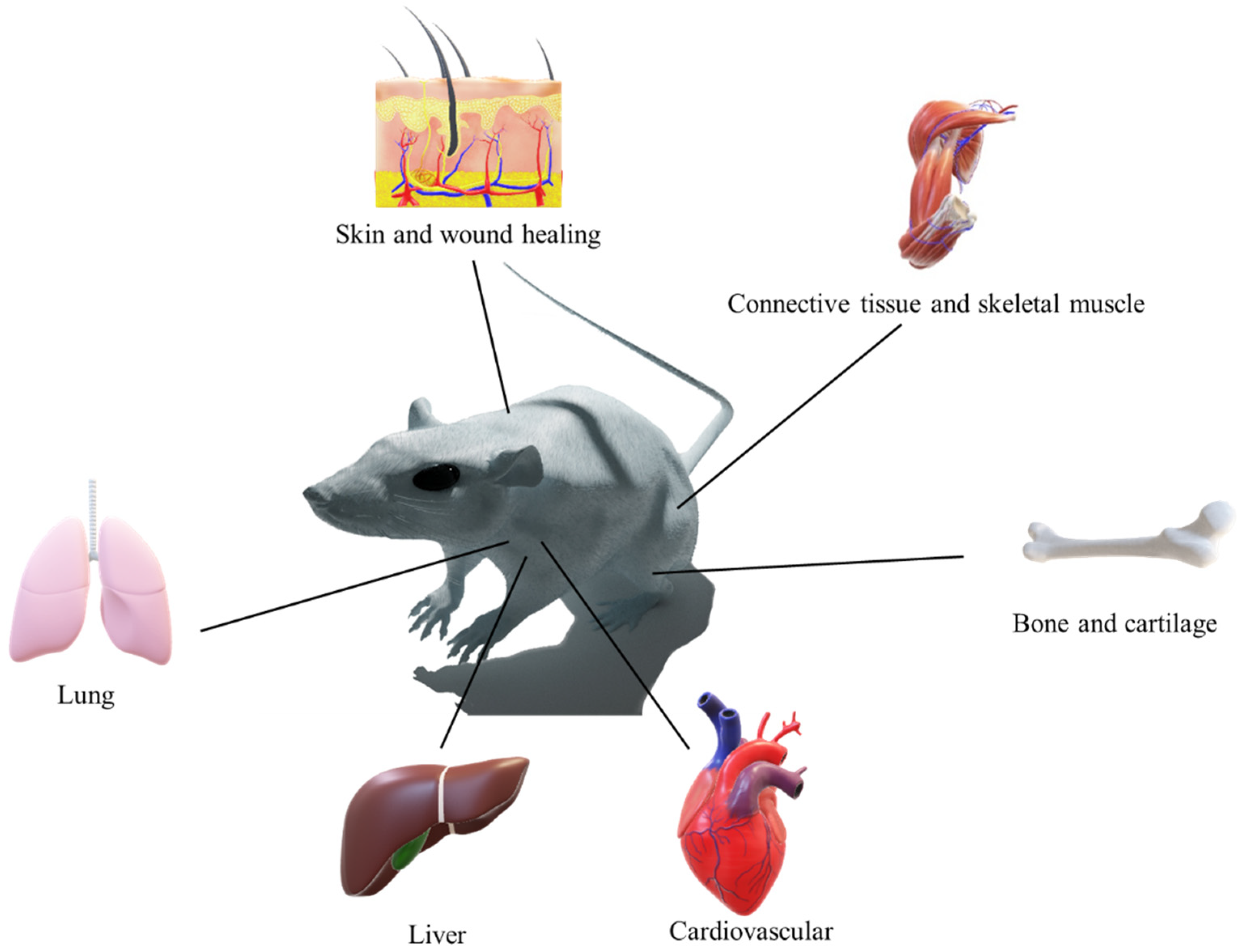 Ijms 24 09464 g001 Ijms 24 09464 g001