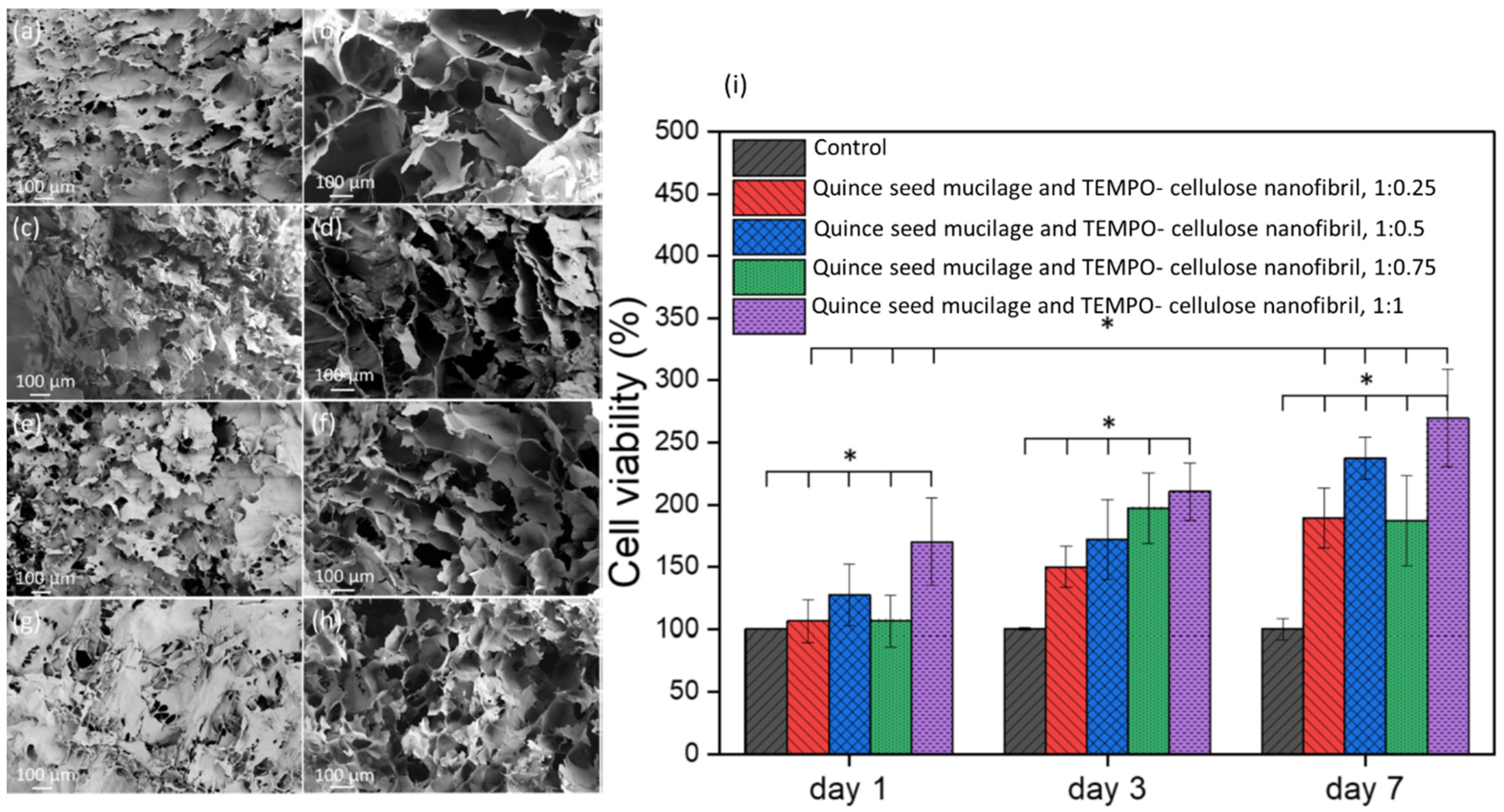 Ijms 24 09464 g003 Ijms 24 09464 g003