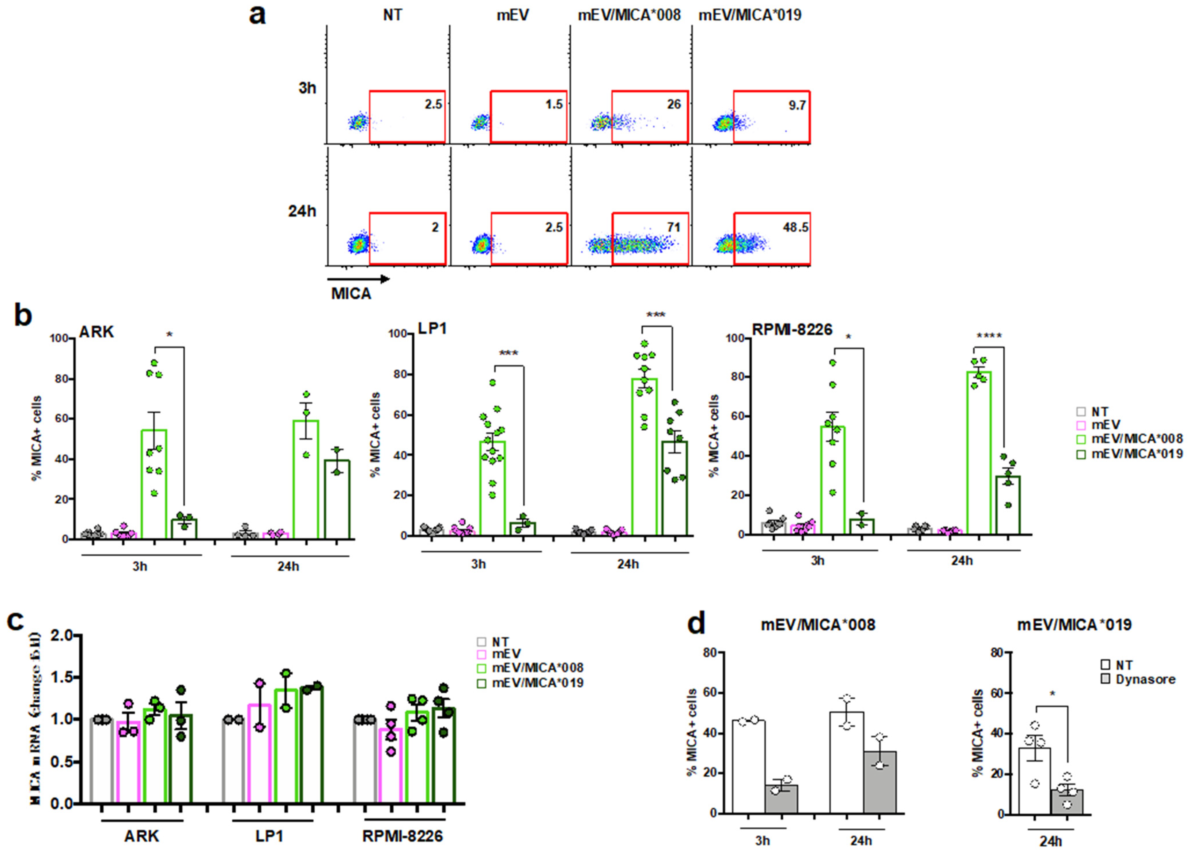 Ijms 24 09467 g002 Ijms 24 09467 g002