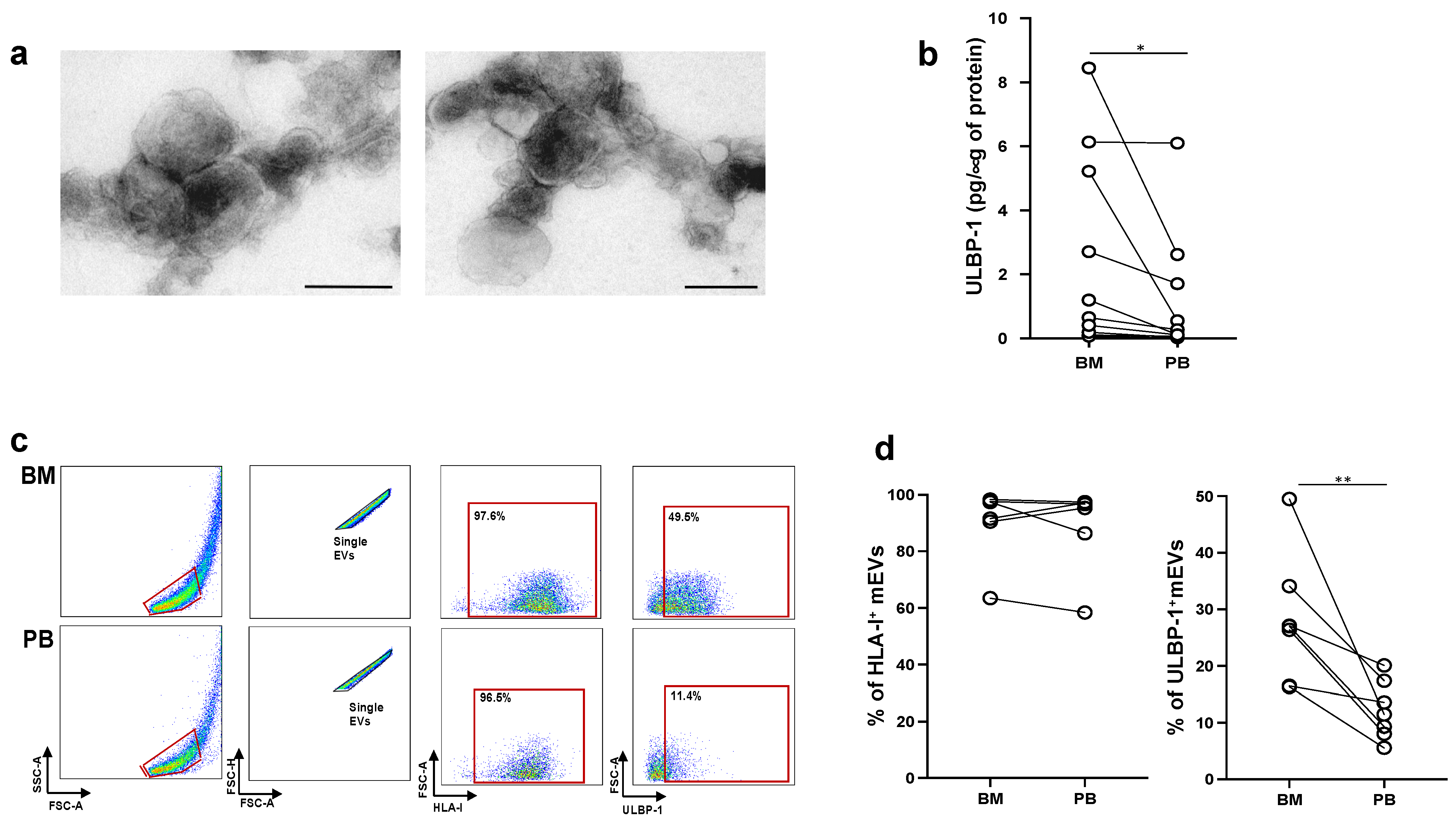 Ijms 24 09467 g005 Ijms 24 09467 g005