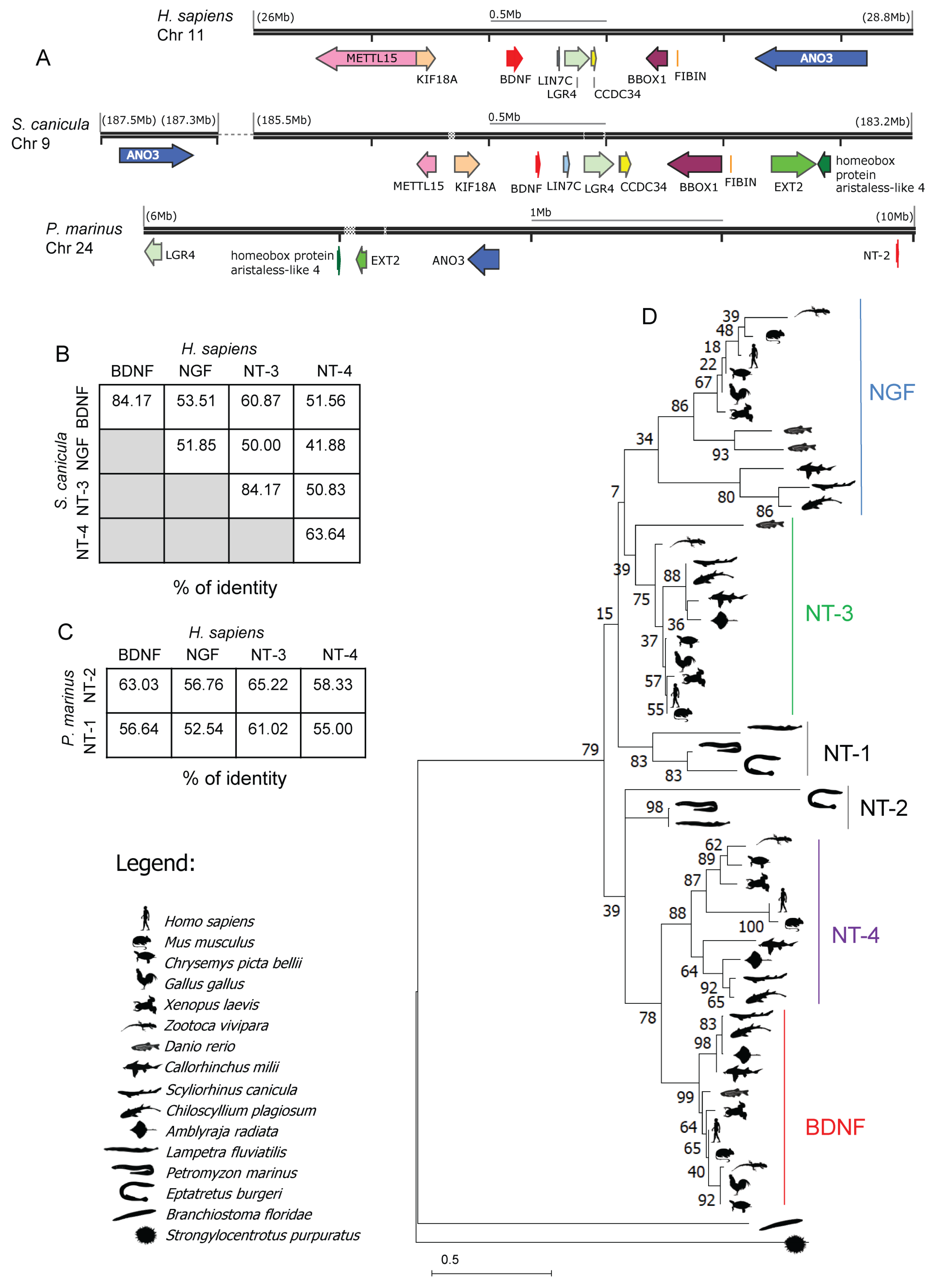 Ijms 24 09495 g001 Ijms 24 09495 g001