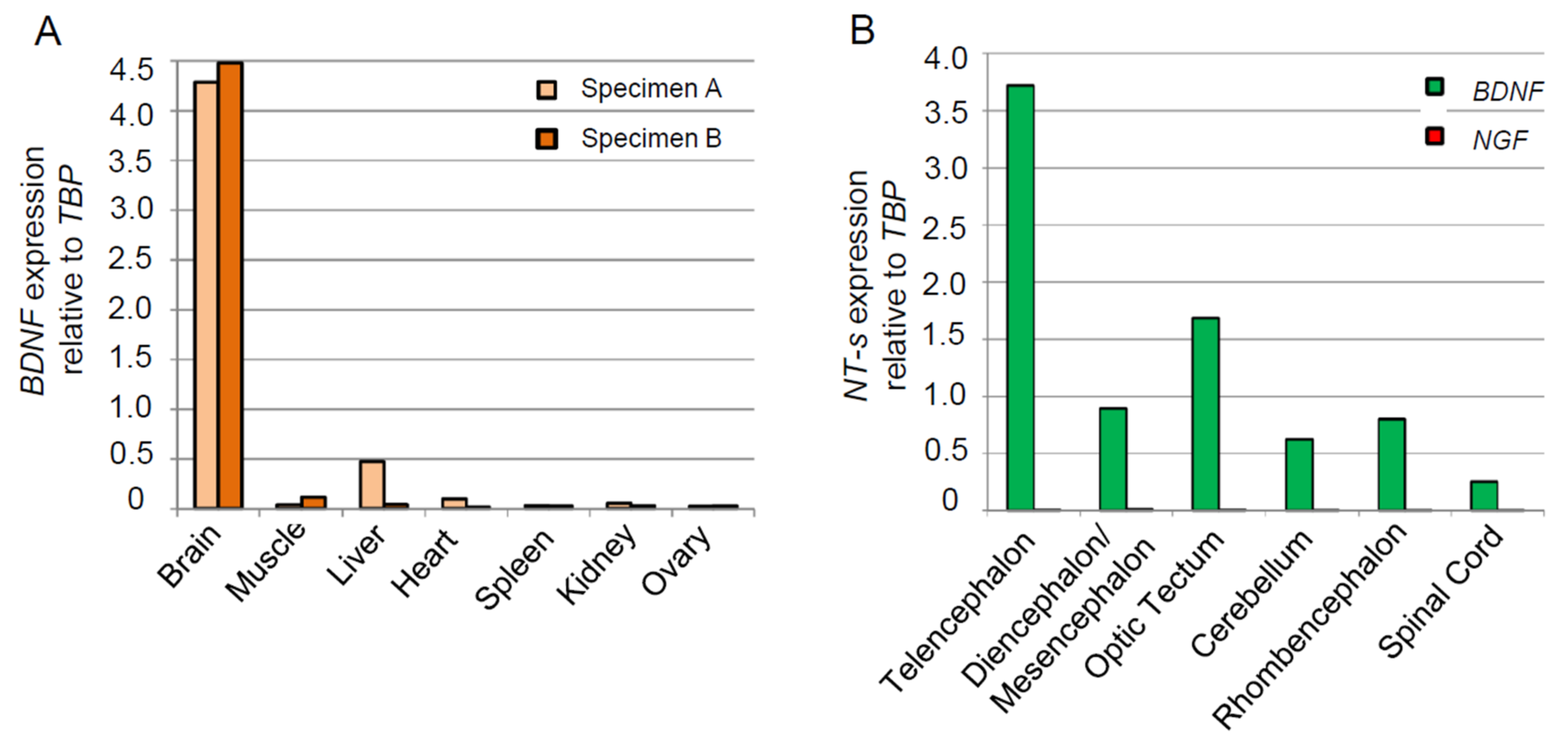Ijms 24 09495 g002 Ijms 24 09495 g002
