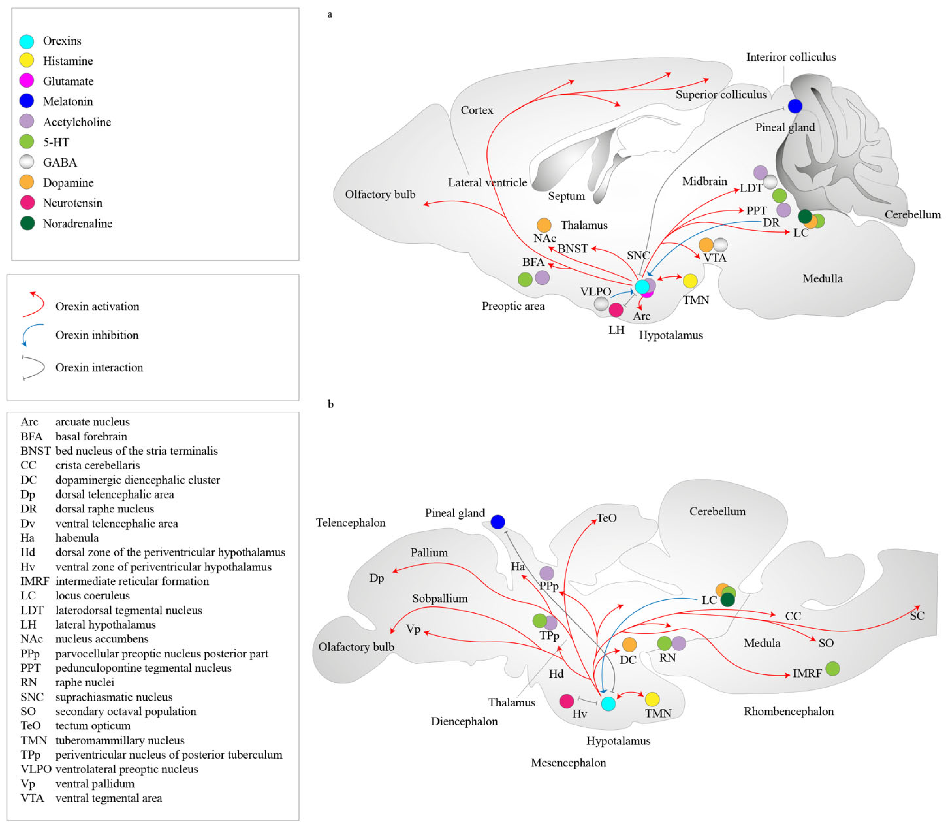 Ijms 24 09505 g002 Ijms 24 09505 g002