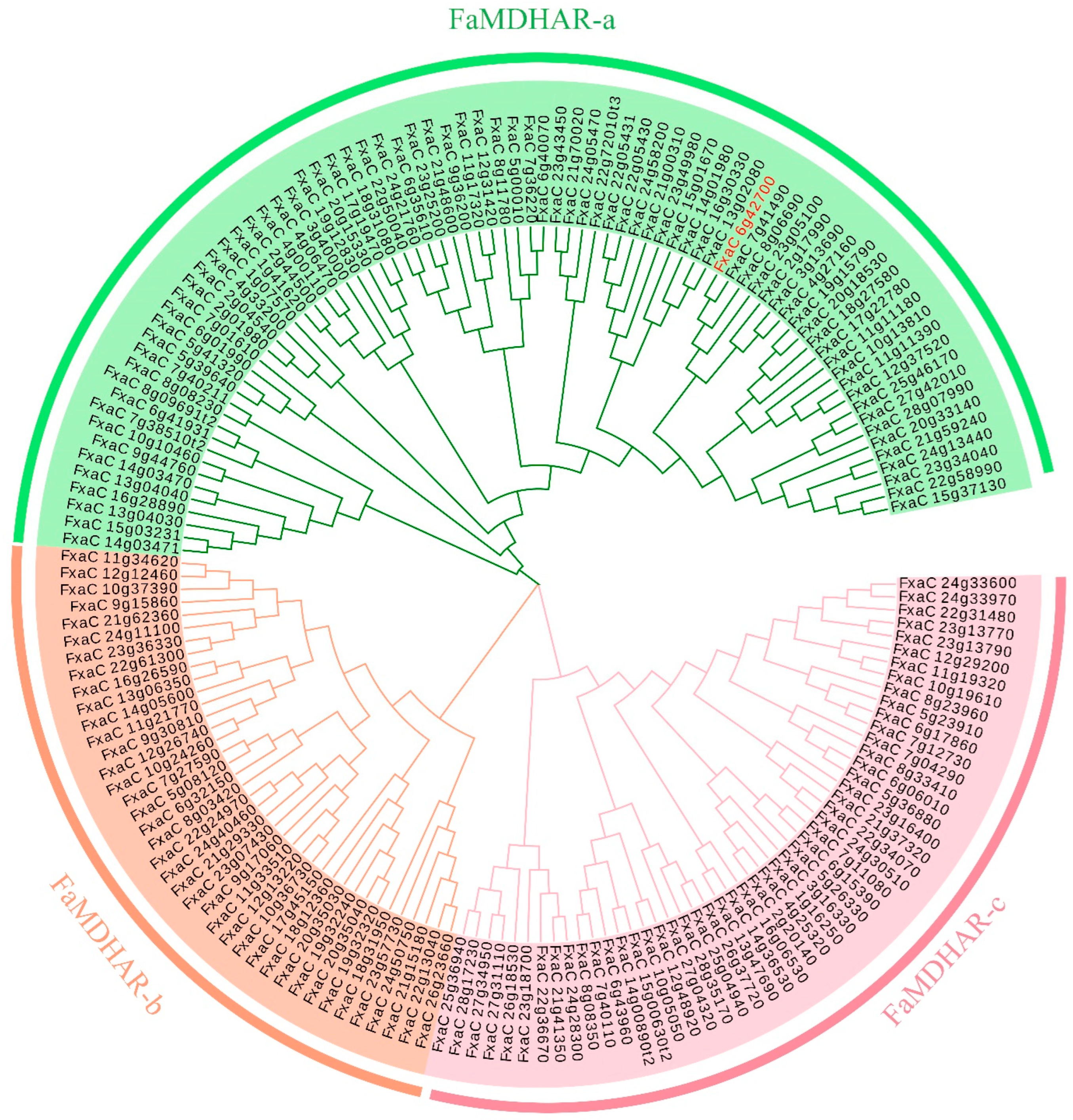 Ijms 24 09510 g002 Ijms 24 09510 g002