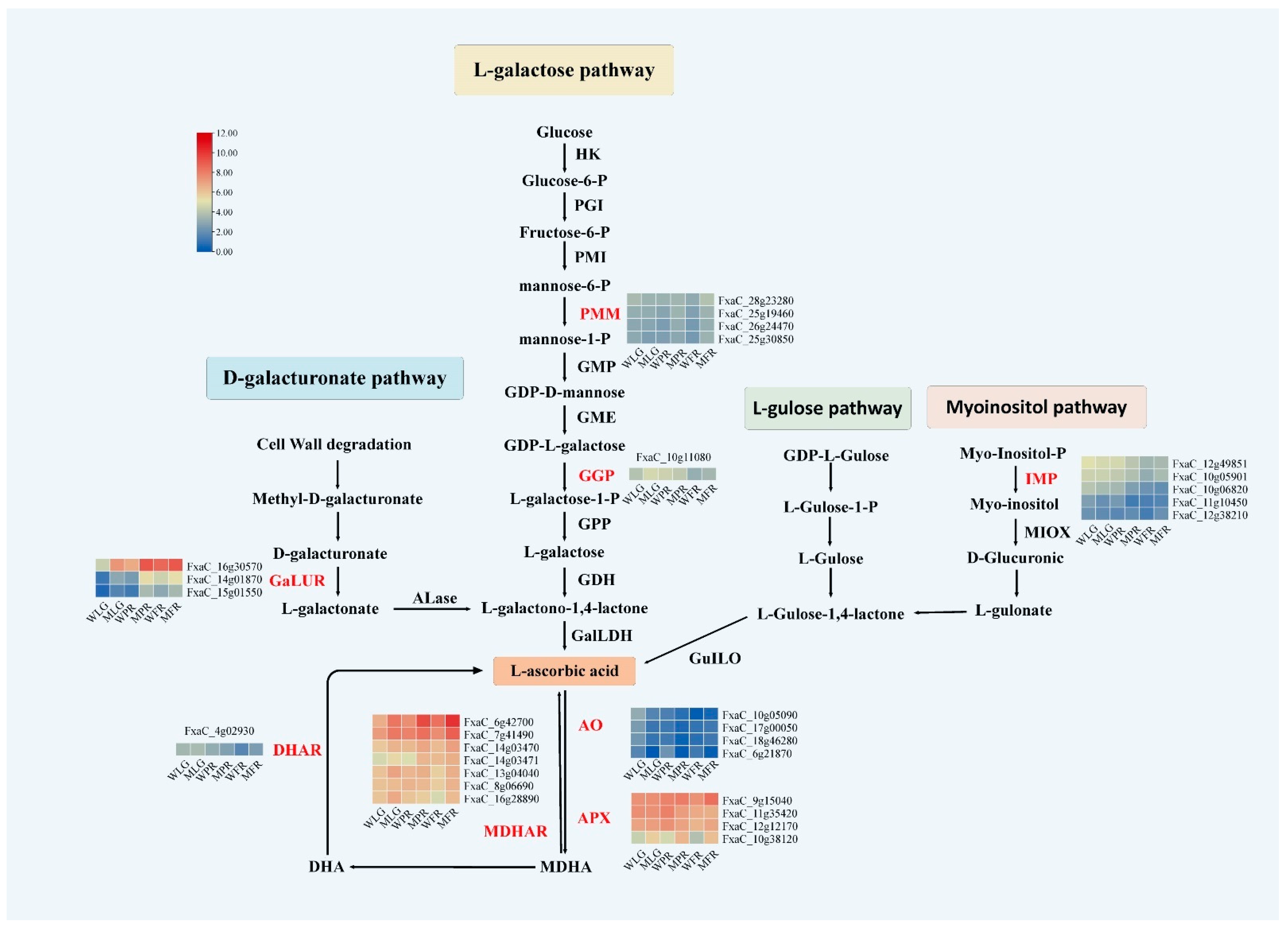 Ijms 24 09510 g005 Ijms 24 09510 g005
