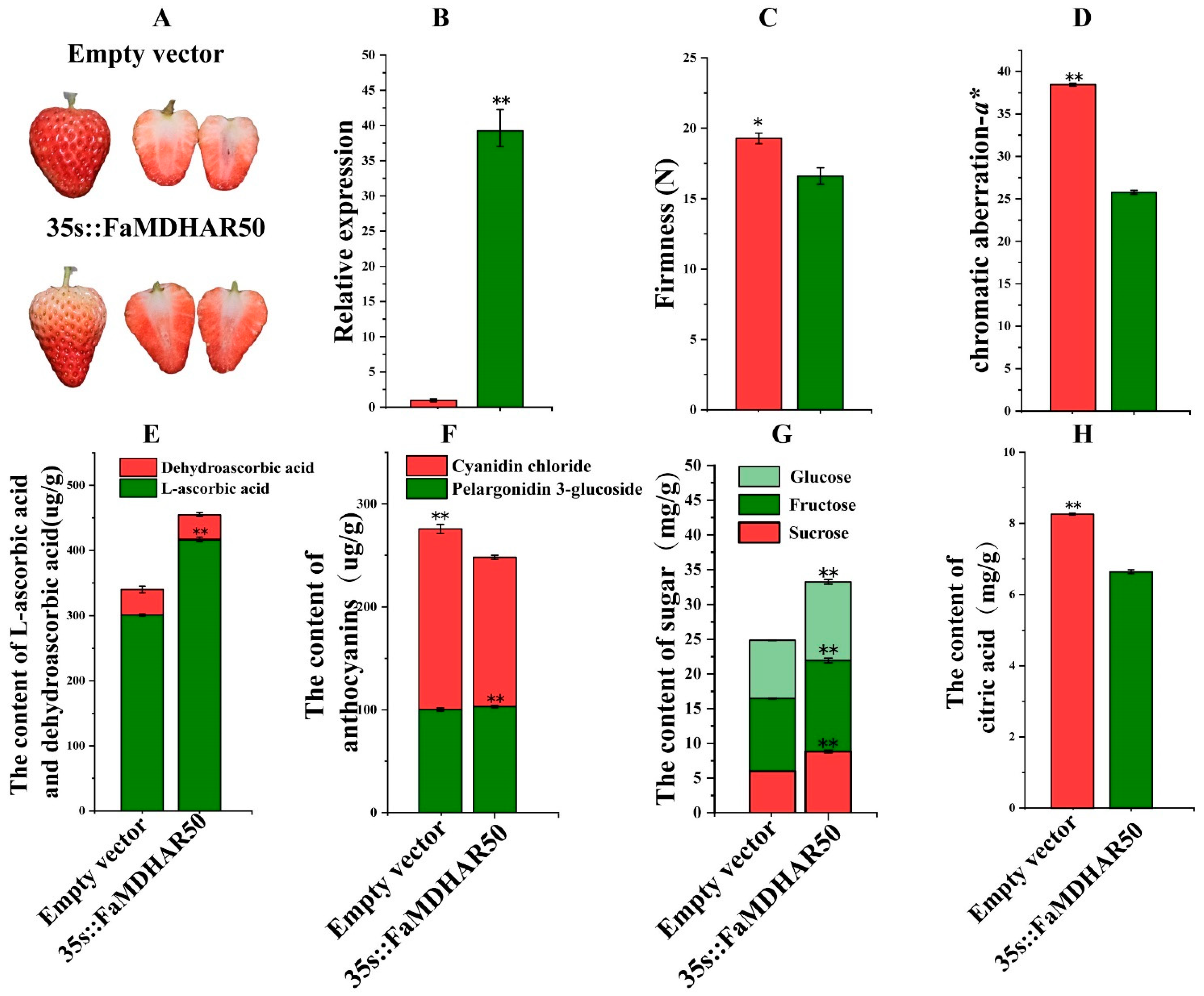 Ijms 24 09510 g006 Ijms 24 09510 g006