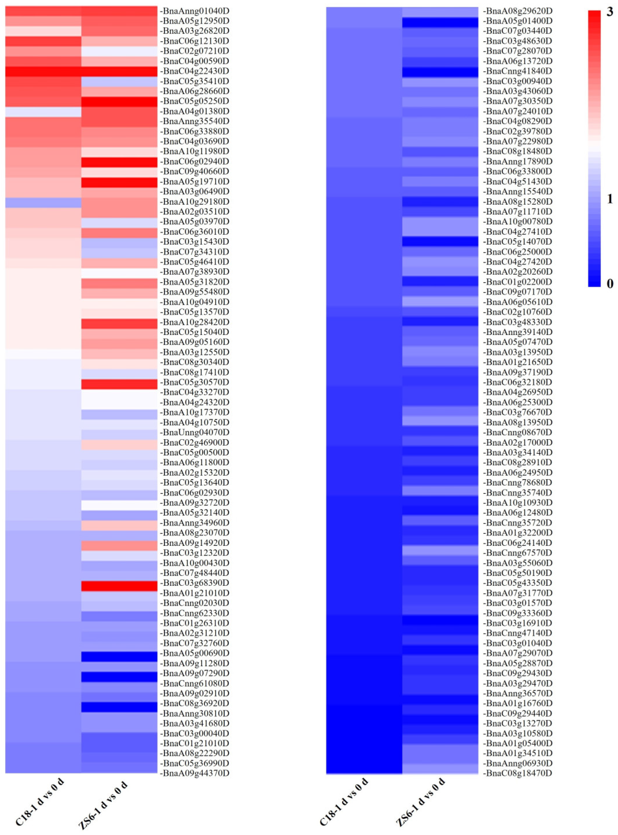 Oxidative stress phenotyping results of NOVEL ROS TFs Heatmap