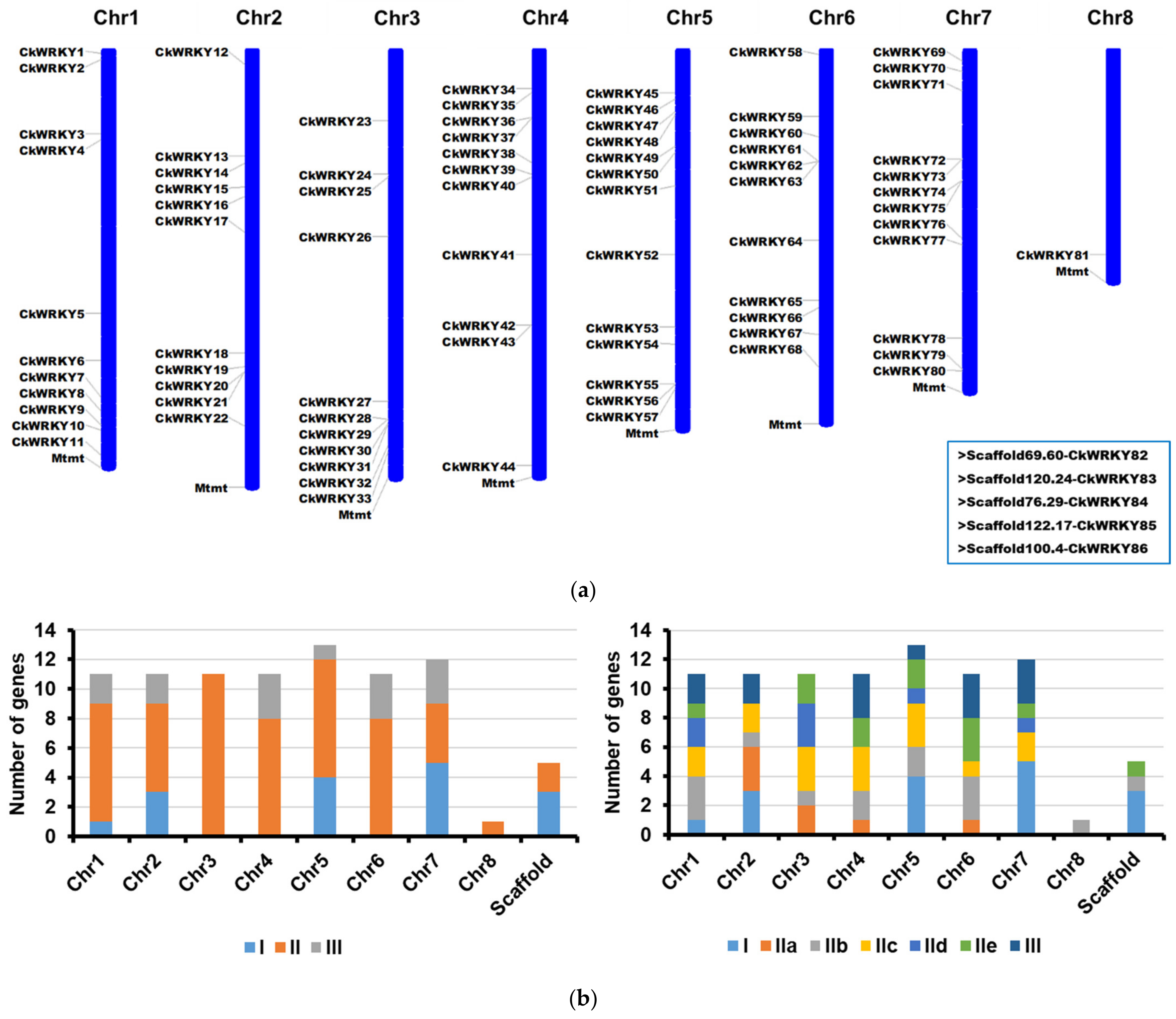 Ijms 24 09519 g001 Ijms 24 09519 g001