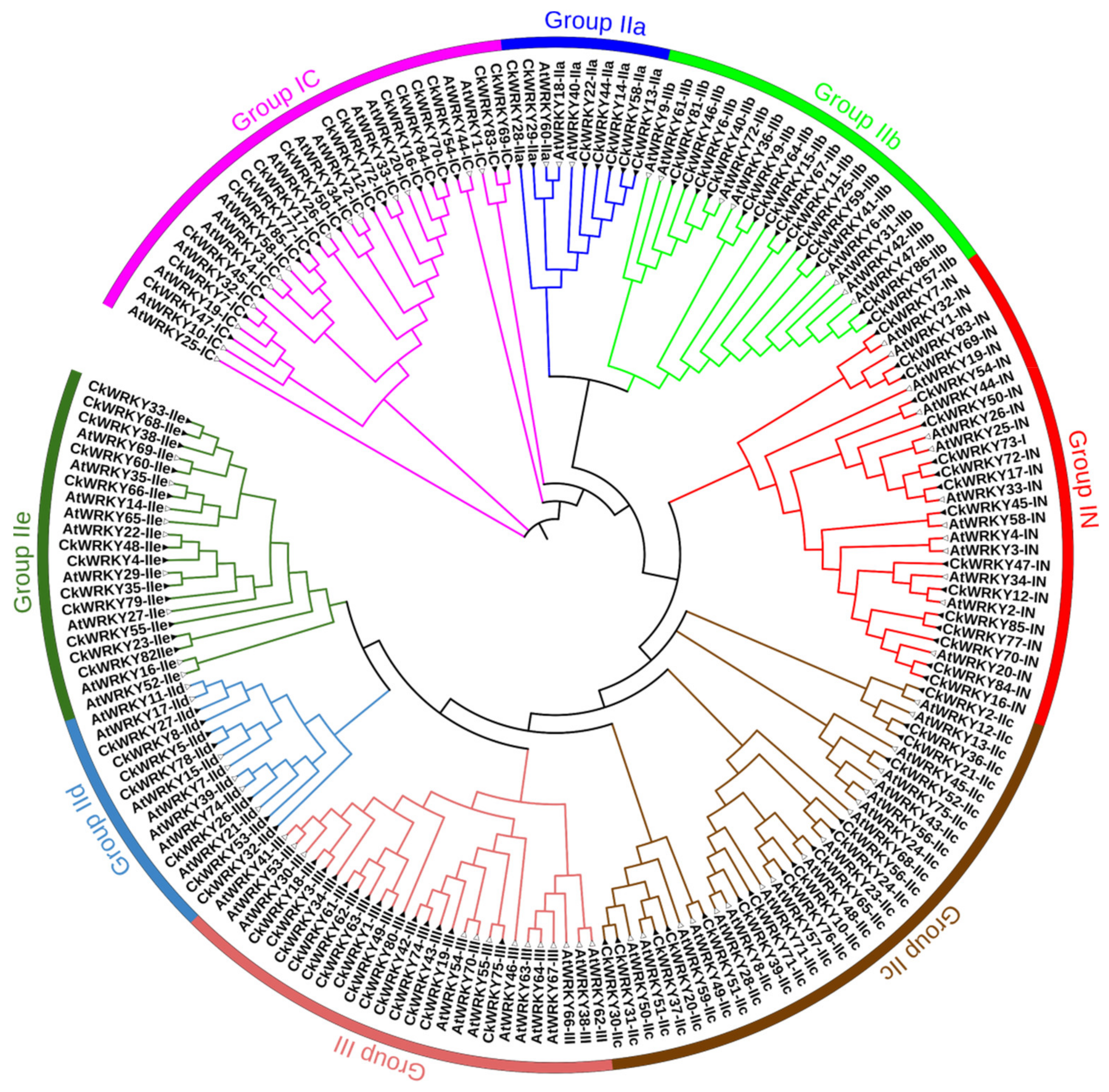 Ijms 24 09519 g002 Ijms 24 09519 g002