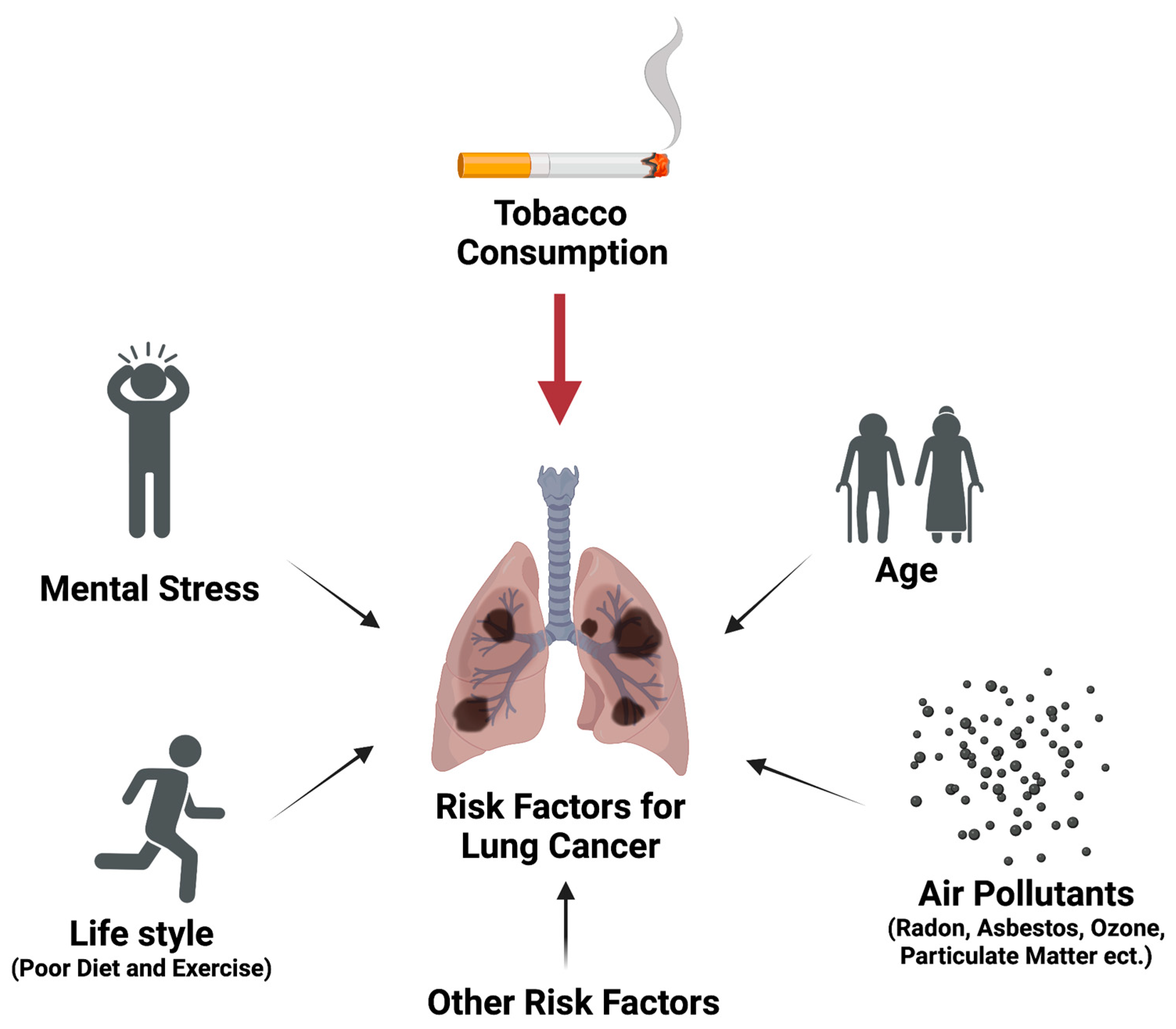 IJMS | Free Full-Text | Opportunities and Challenges of Kava in Lung Cancer  Prevention