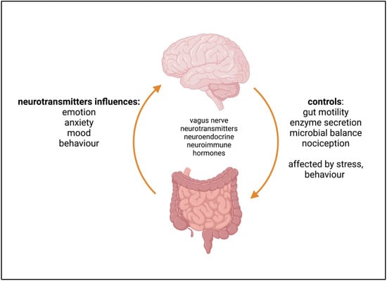 Ijms Free Full Text Neurodegenerative And Neurodevelopmental Diseases And The Gut Brain Axis 