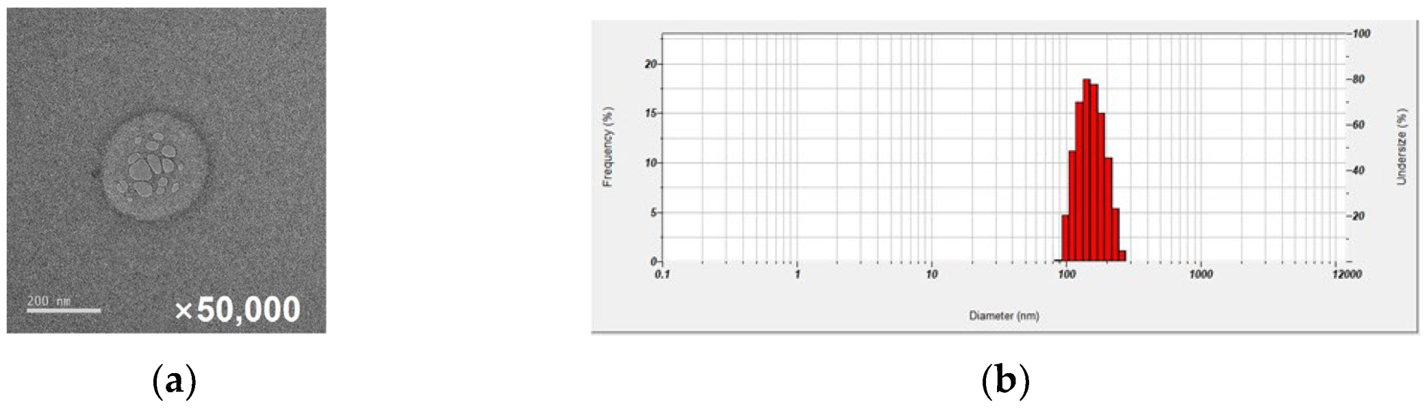 Ijms 24 09579 g001 Ijms 24 09579 g001