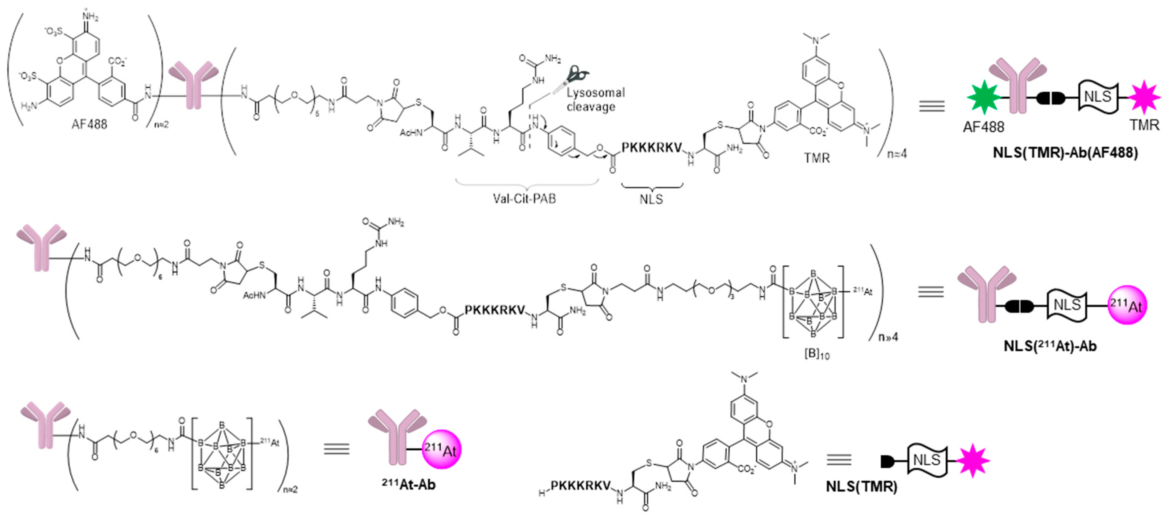 Ijms 24 09593 g002 Ijms 24 09593 g002