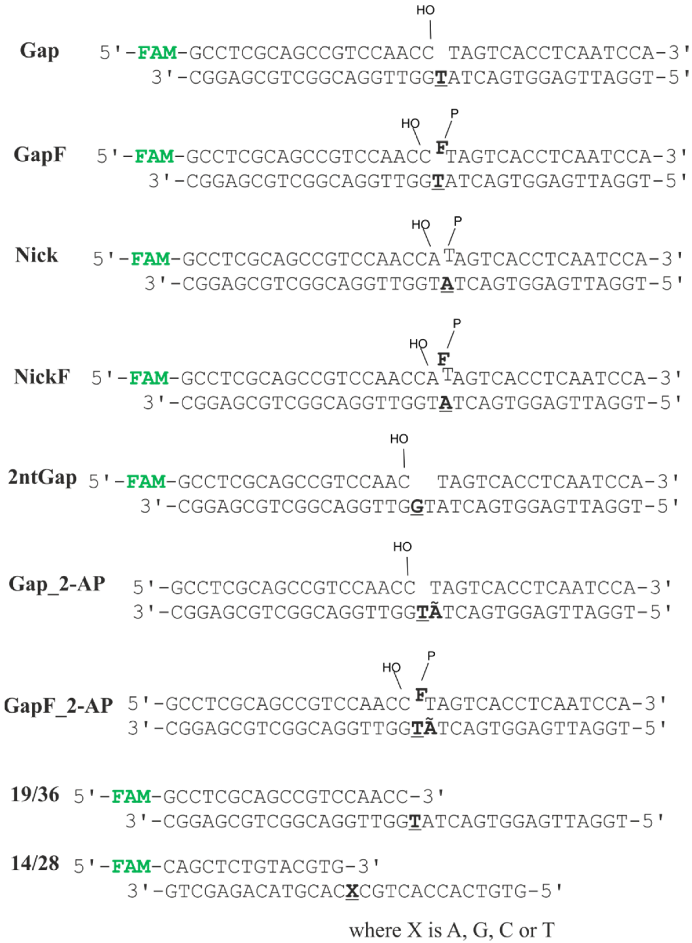 Ijms 24 09594 g001 Ijms 24 09594 g001