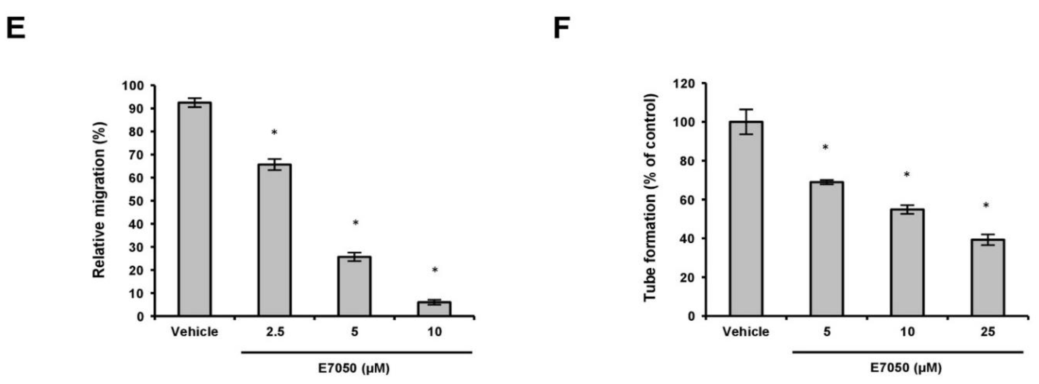 Ijms 24 09606 g001b Ijms 24 09606 g001b
