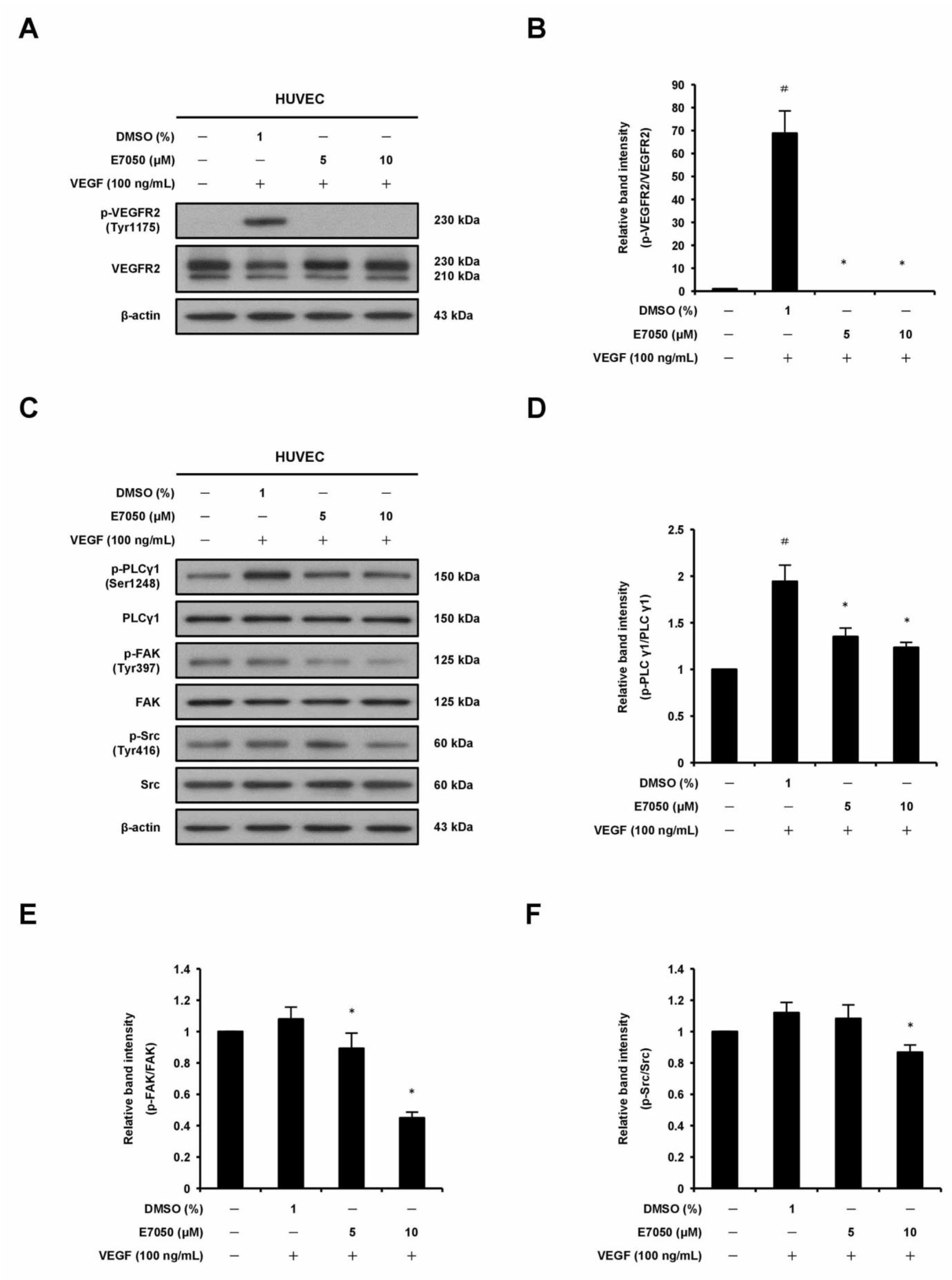 Ijms 24 09606 g003a Ijms 24 09606 g003a