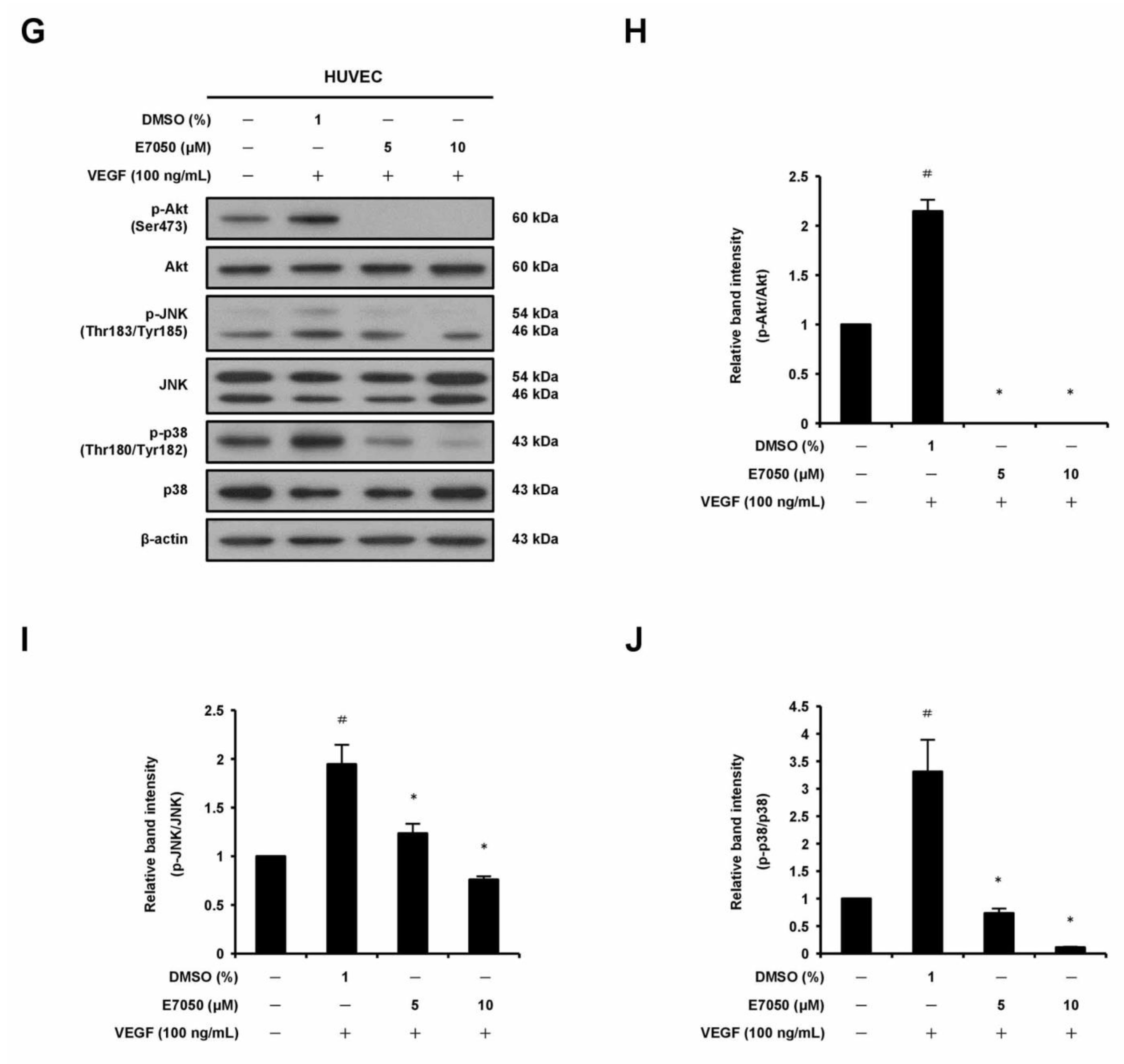 Ijms 24 09606 g003b Ijms 24 09606 g003b