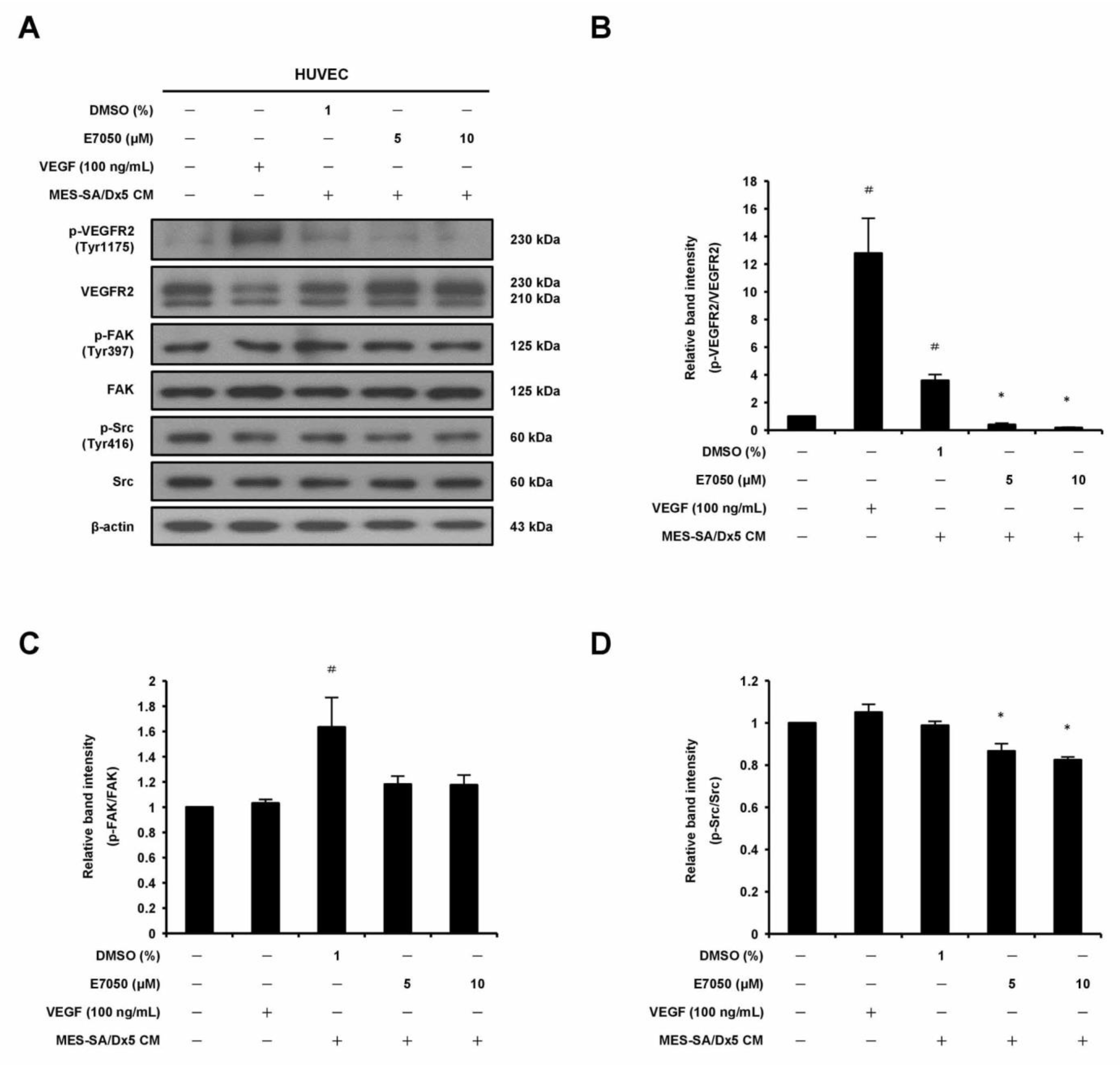 Ijms 24 09606 g005a Ijms 24 09606 g005a