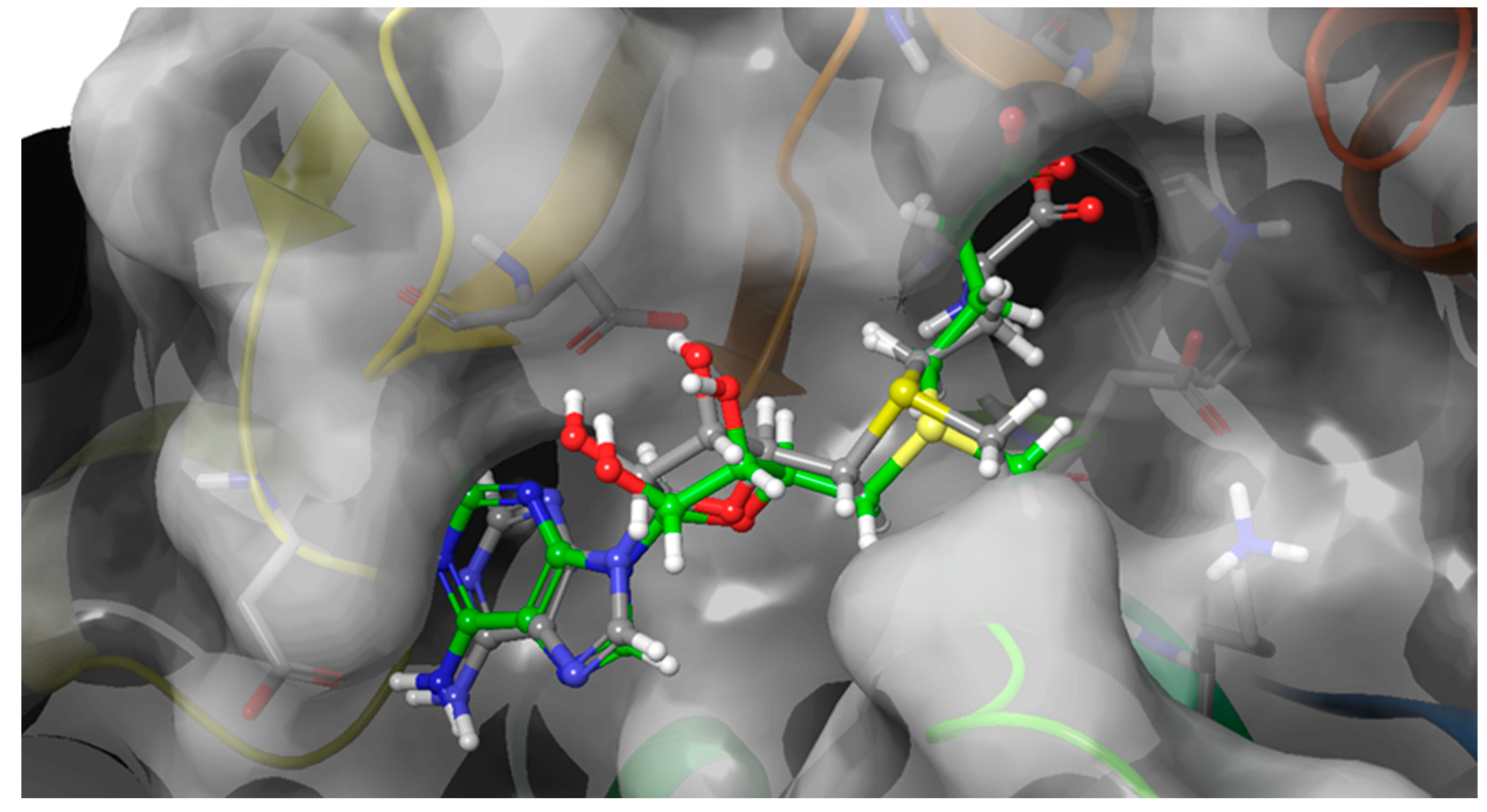 Ijms 24 09609 g003 Ijms 24 09609 g003