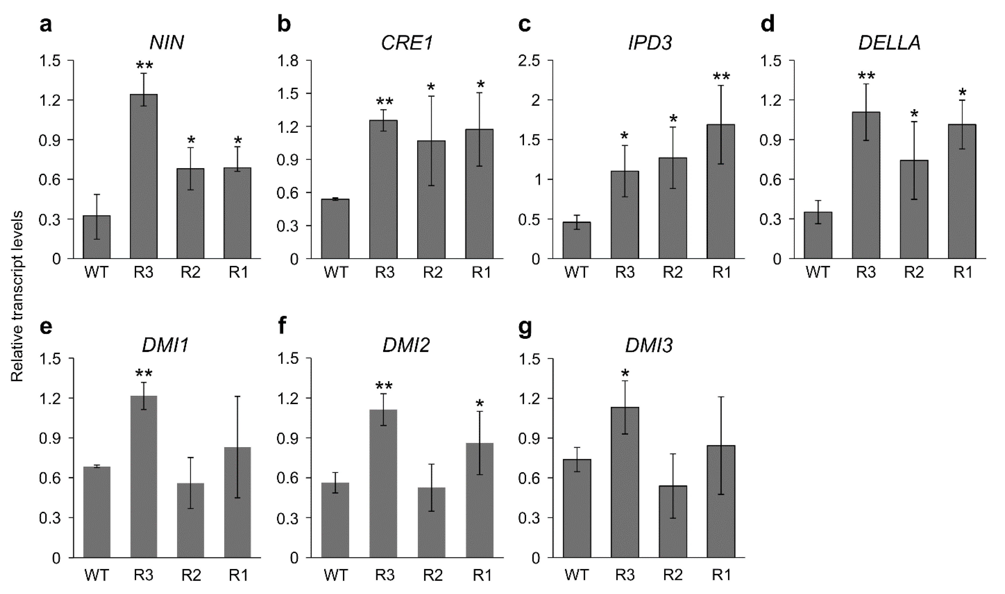Ijms 24 09615 g002 Ijms 24 09615 g002