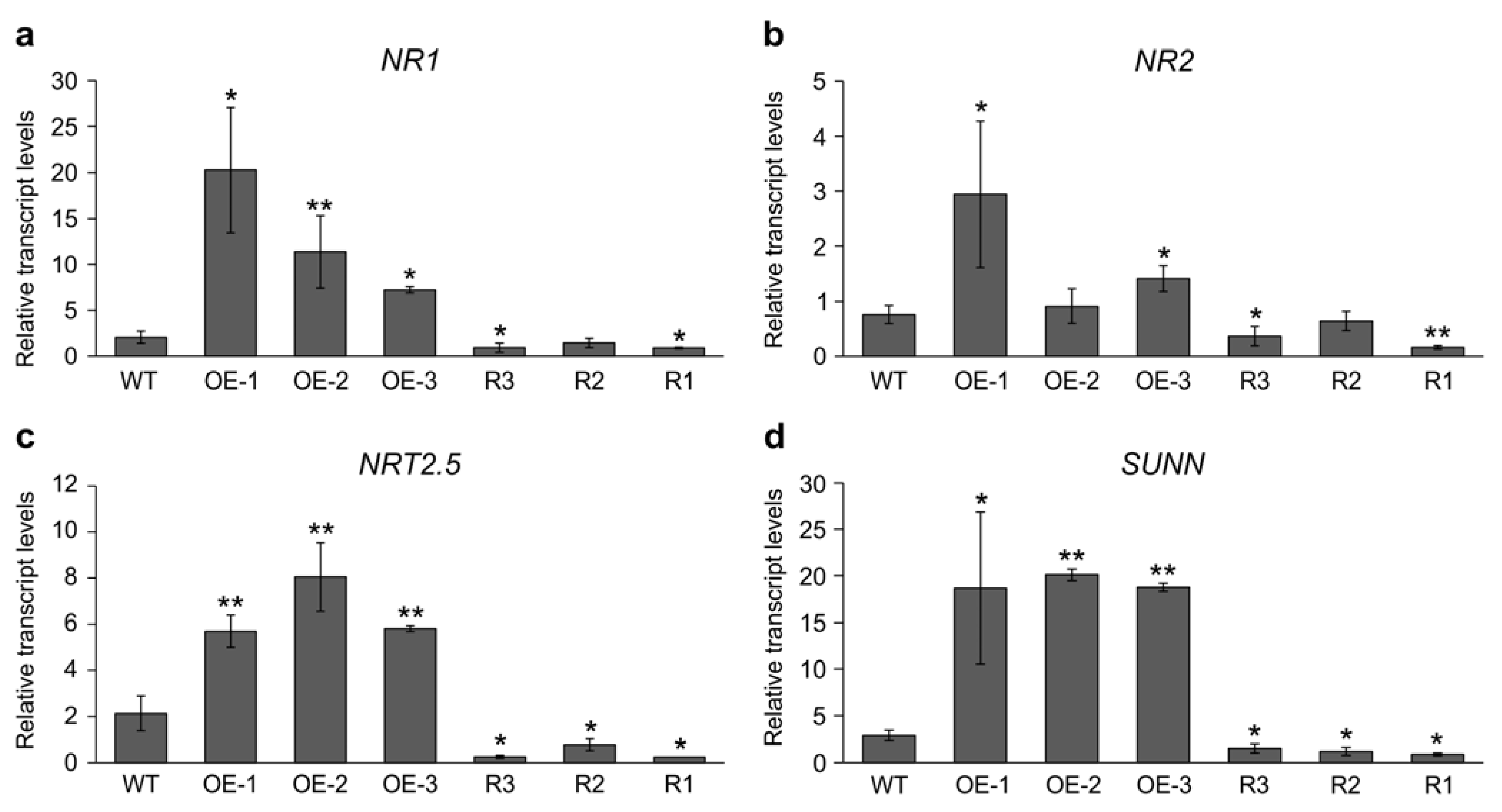 Ijms 24 09615 g004 Ijms 24 09615 g004