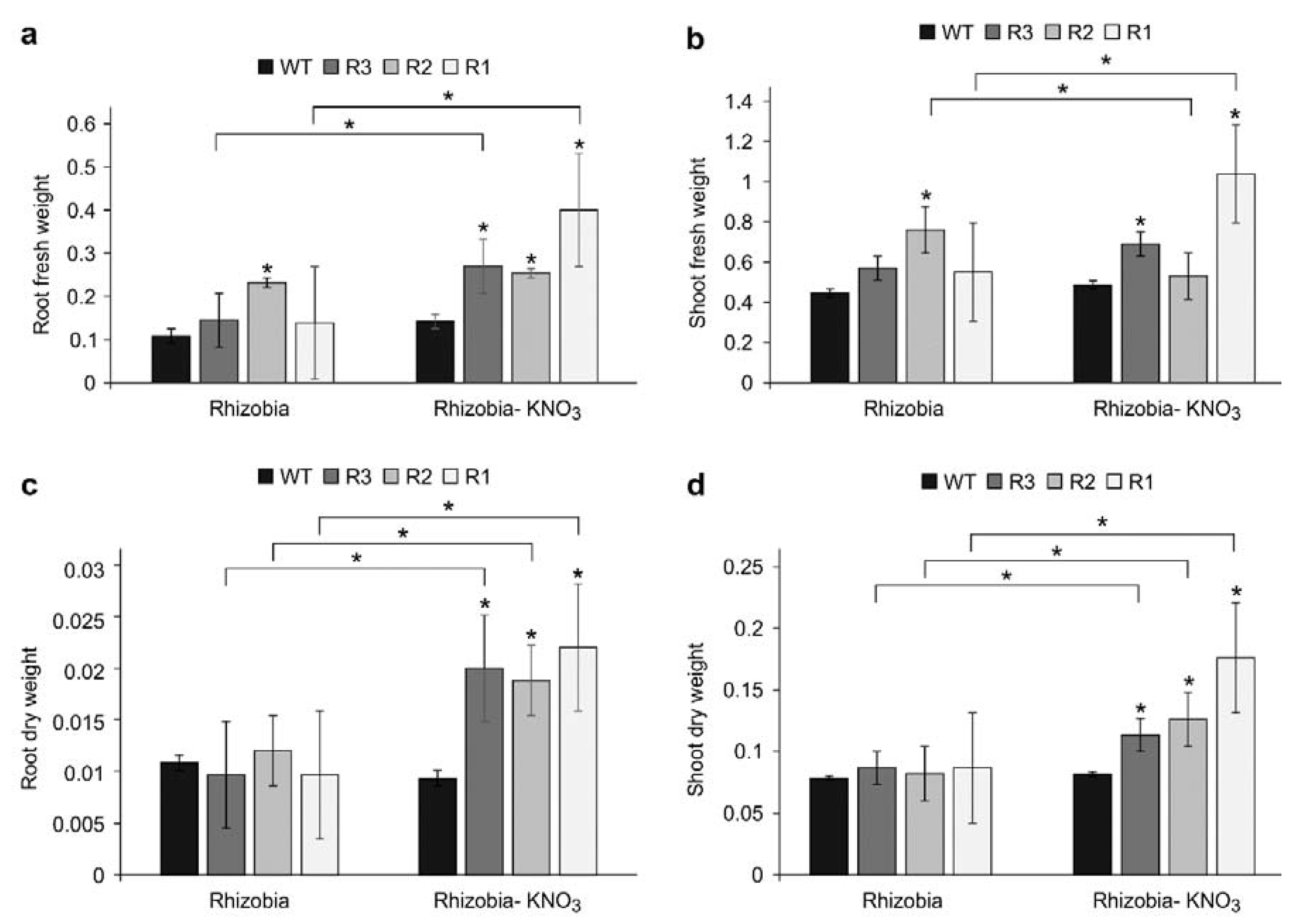 Ijms 24 09615 g006 Ijms 24 09615 g006