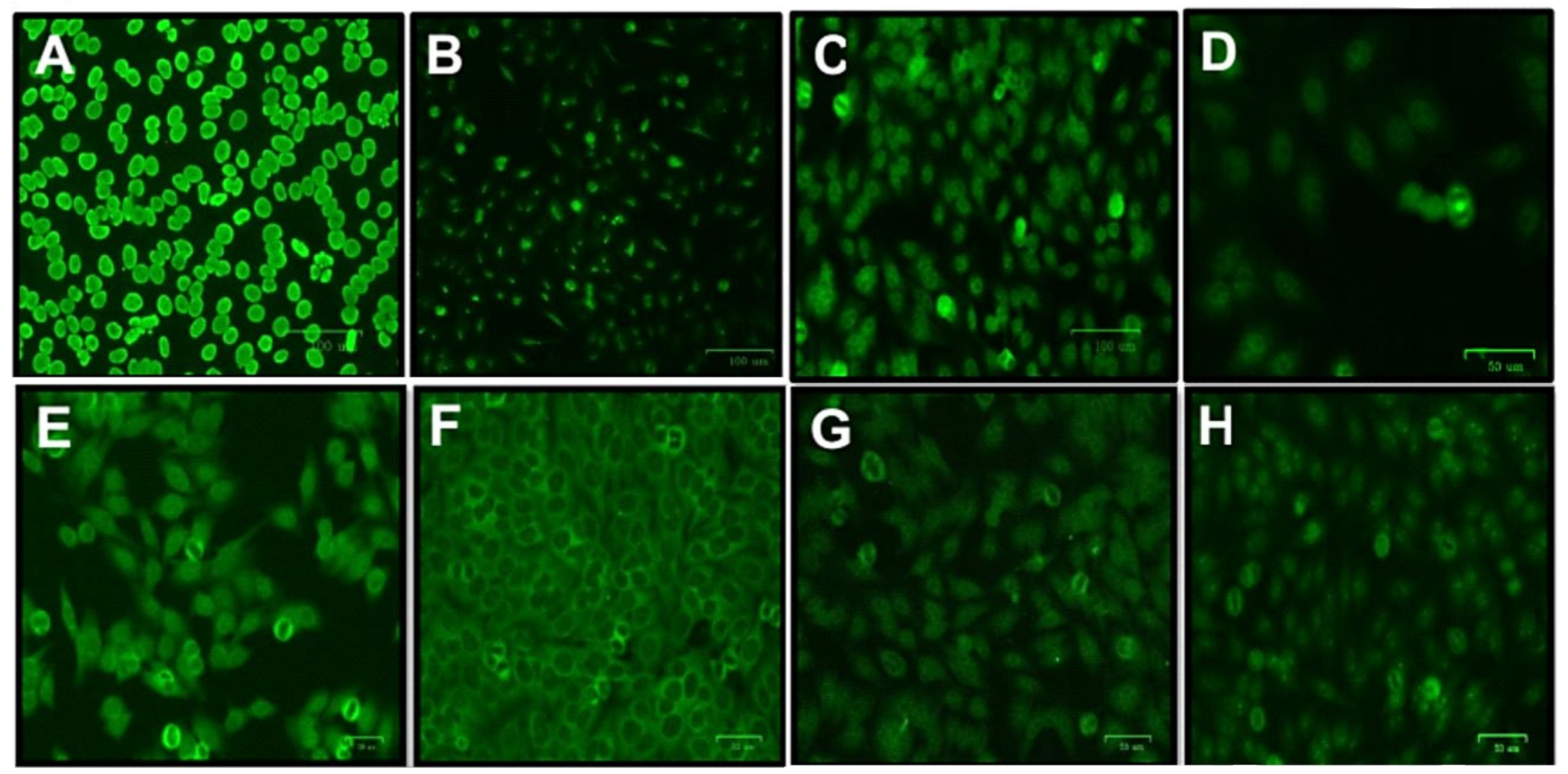 Ijms 24 09660 g004 Ijms 24 09660 g004
