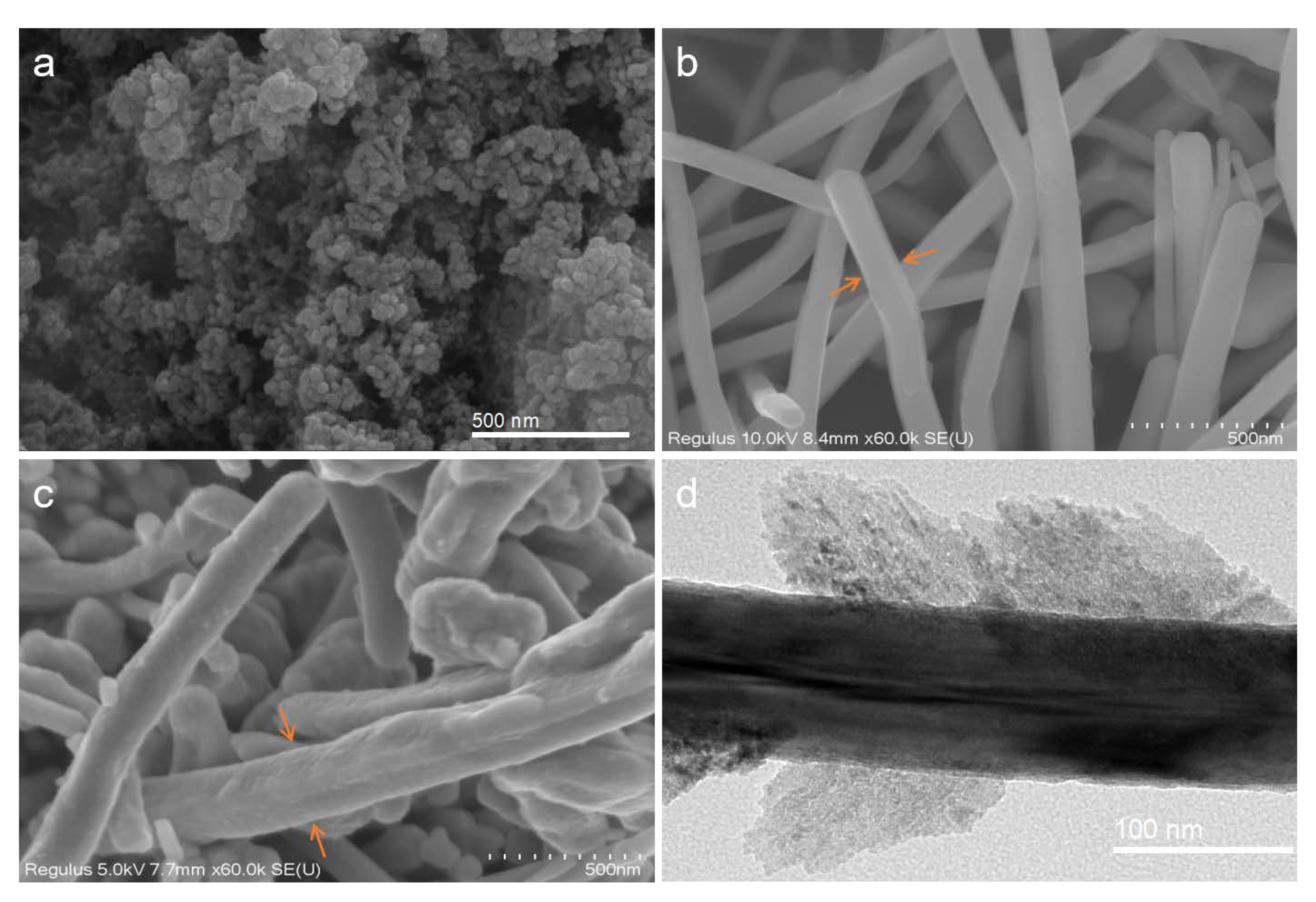 Ijms 24 09673 g001 Ijms 24 09673 g001