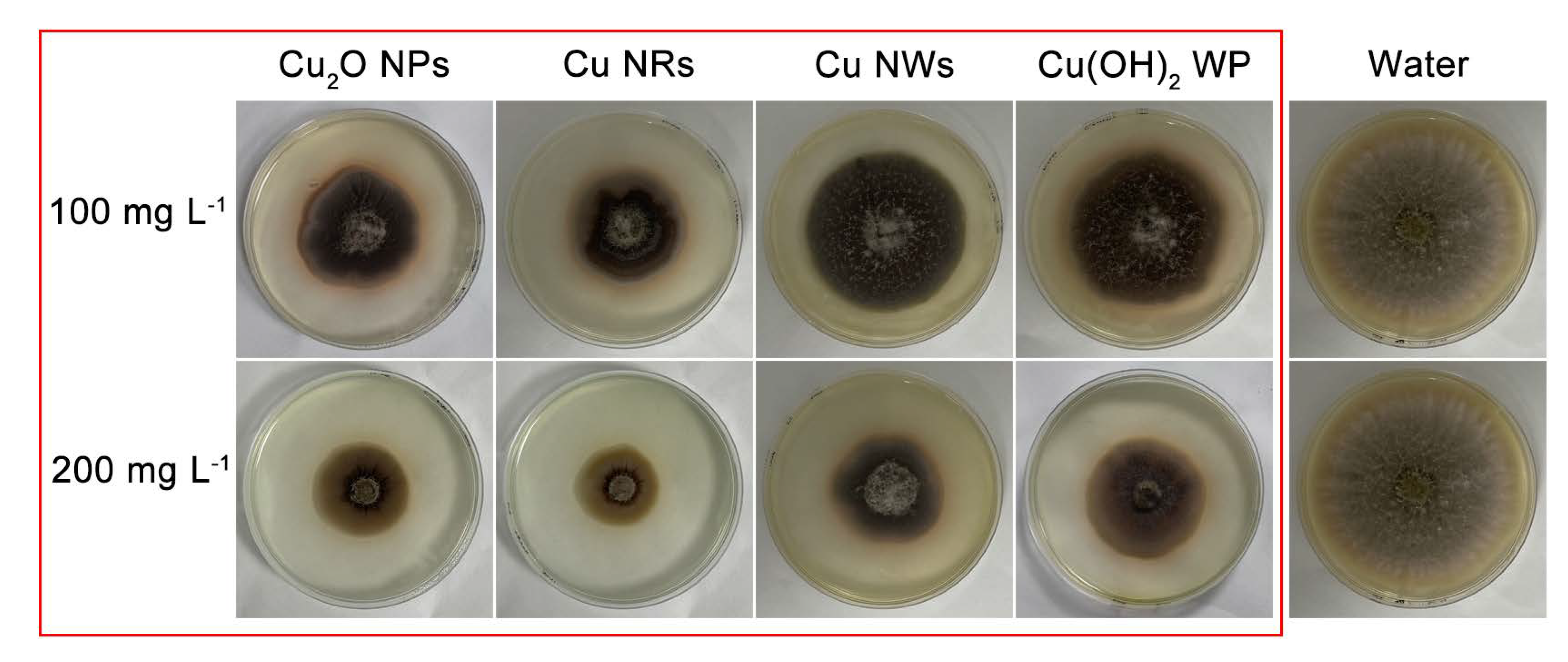 Ijms 24 09673 g004 Ijms 24 09673 g004