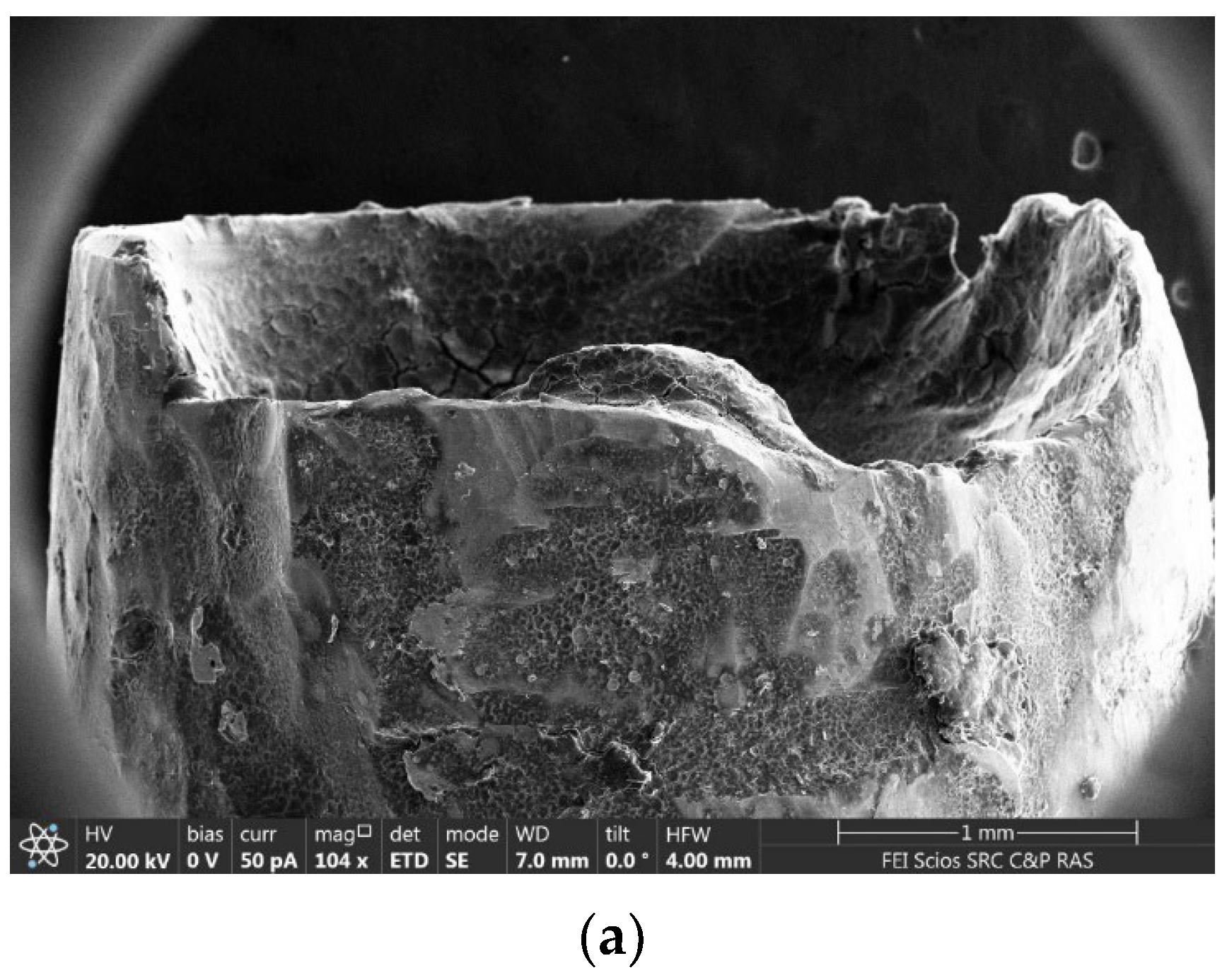 Ijms 24 09678 g005a Ijms 24 09678 g005a