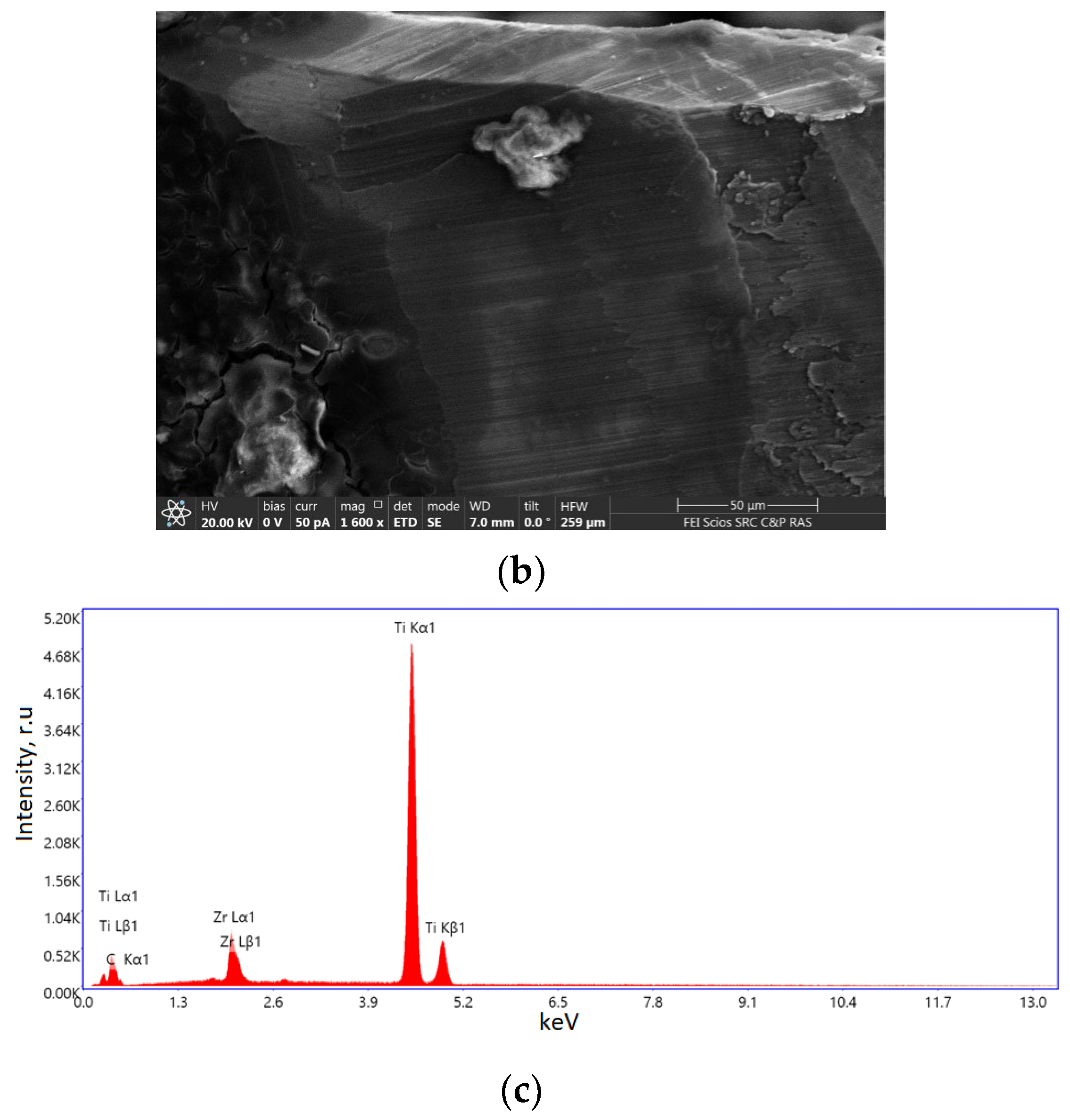 Ijms 24 09678 g005b Ijms 24 09678 g005b