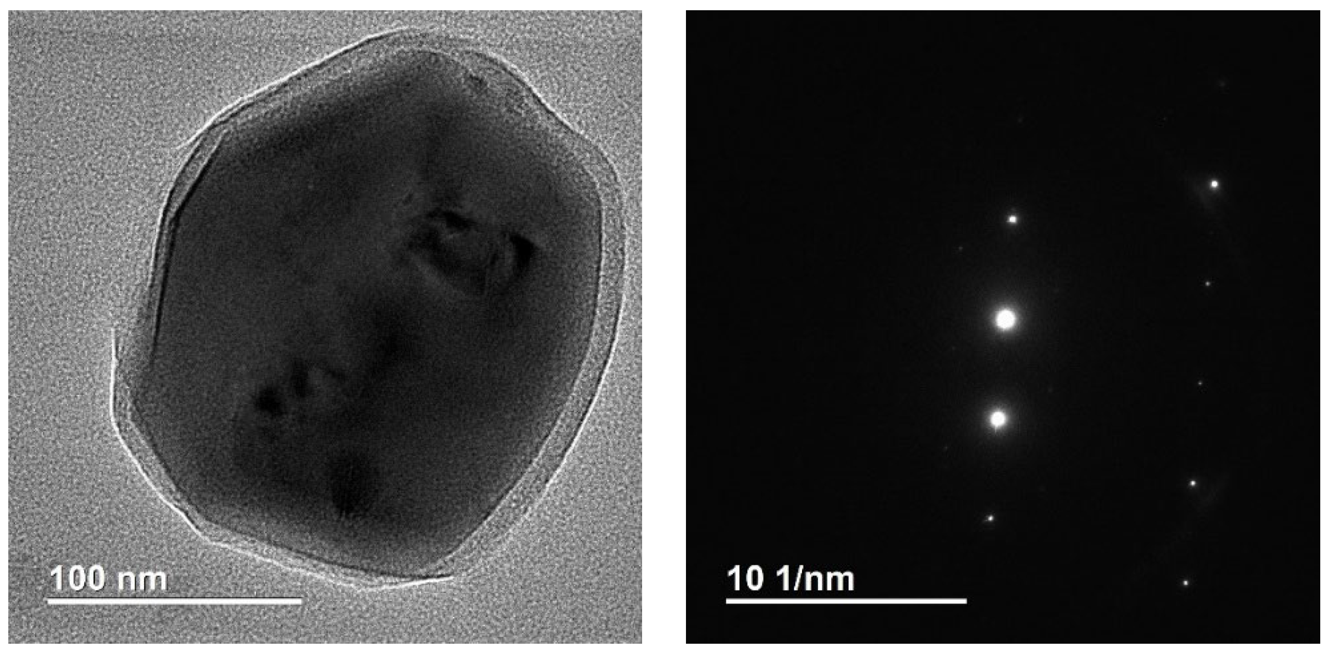 Ijms 24 09678 g008 Ijms 24 09678 g008