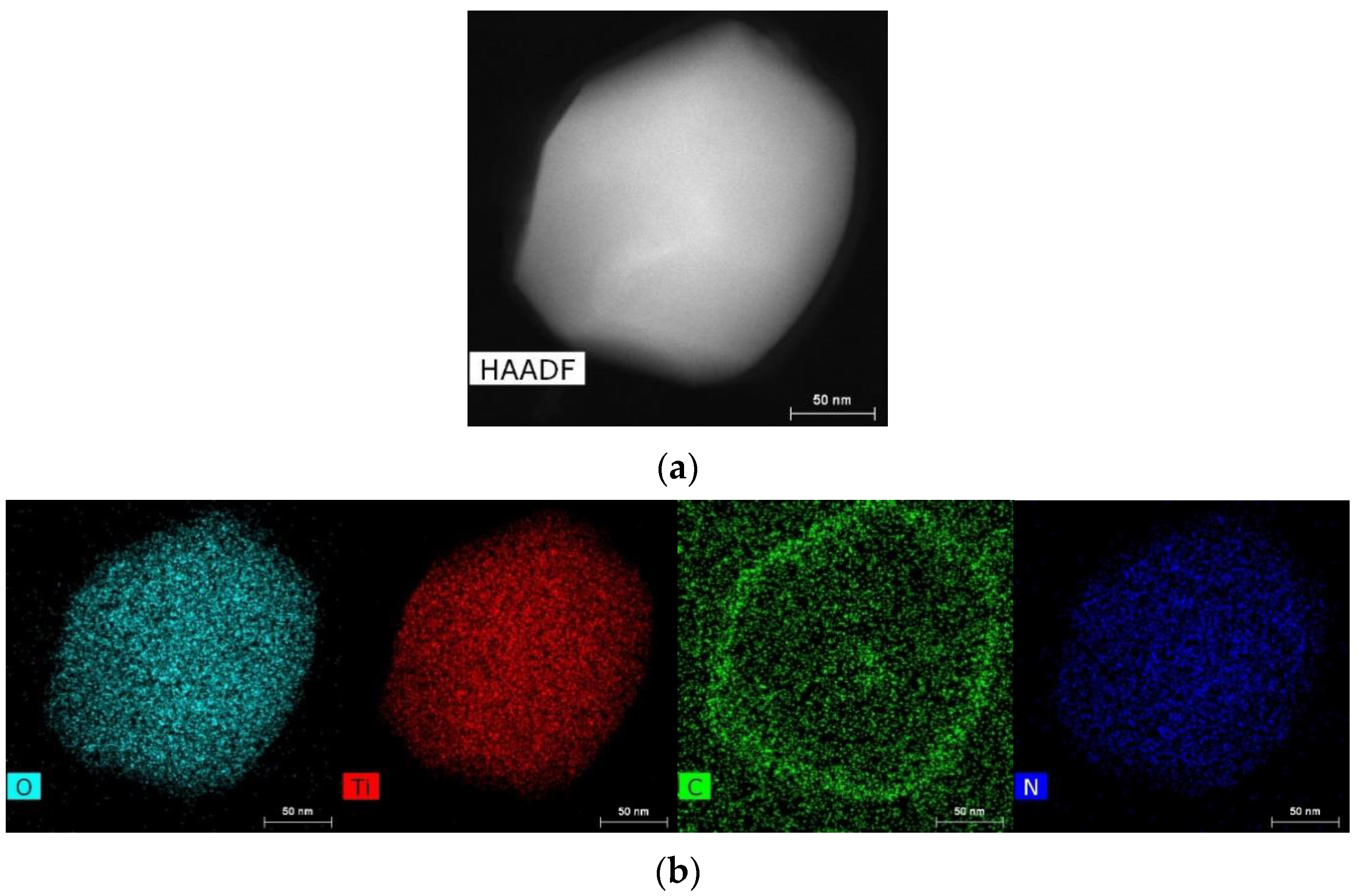 Ijms 24 09678 g009a Ijms 24 09678 g009a