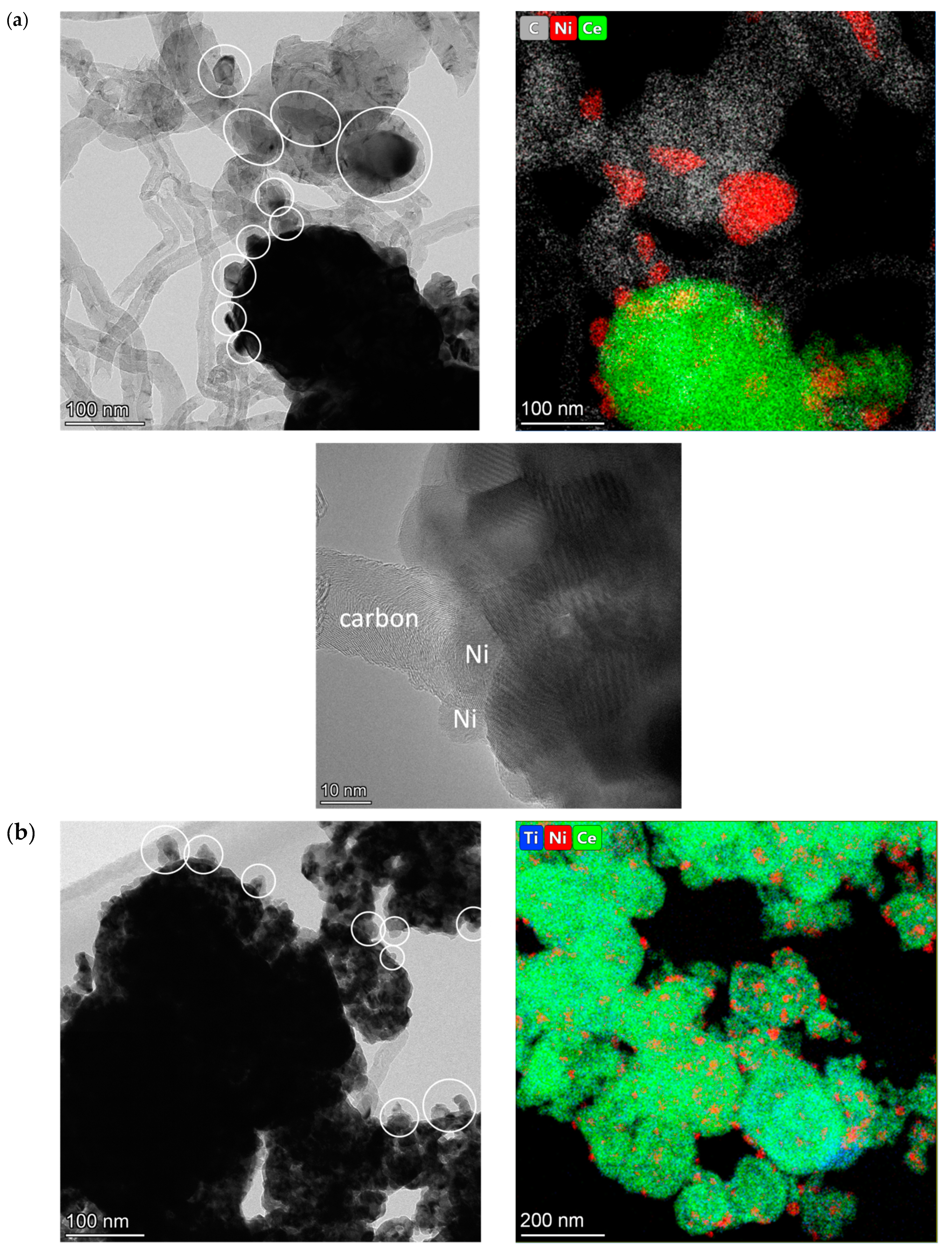 Ijms 24 09680 g010a Ijms 24 09680 g010a