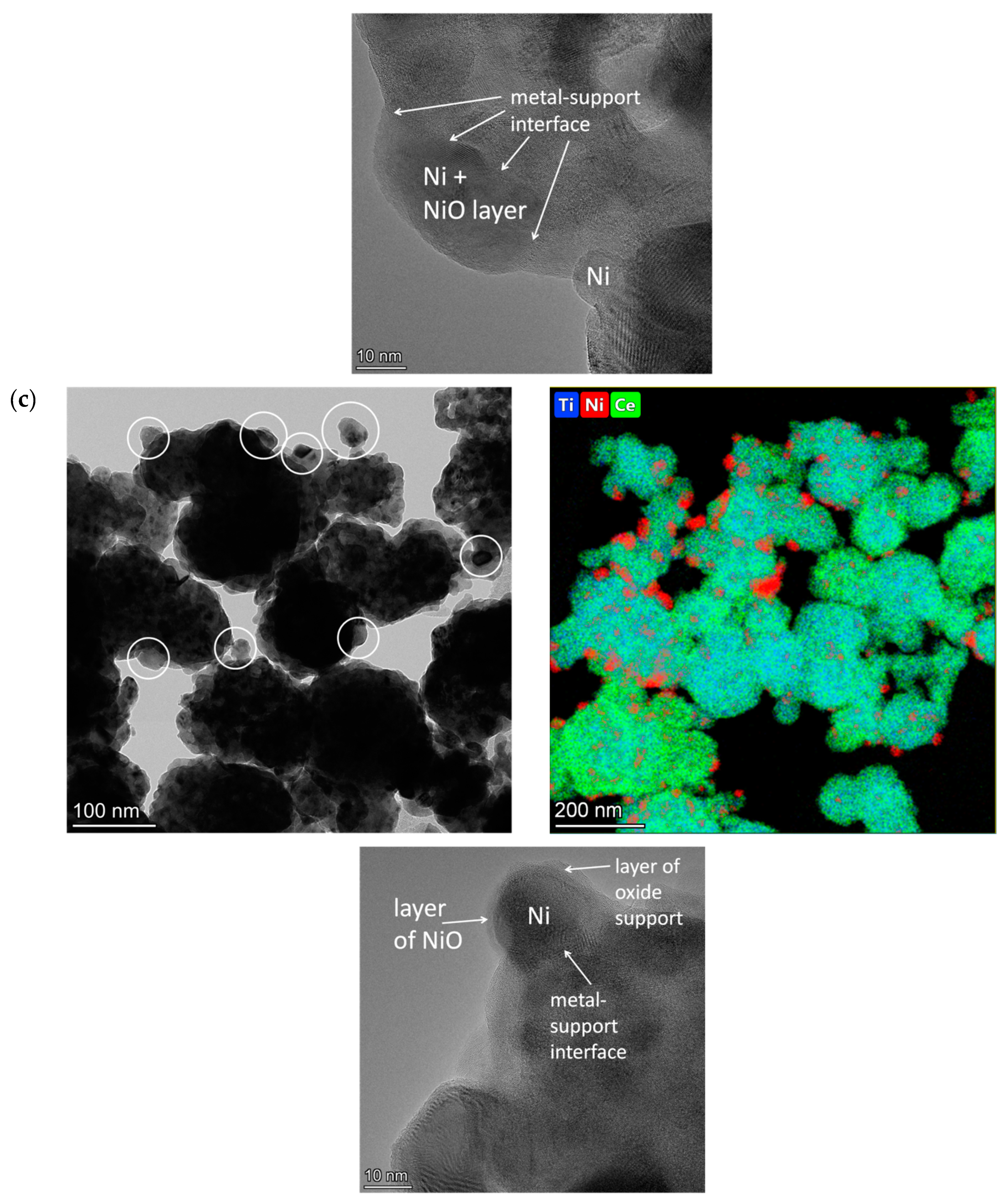 Ijms 24 09680 g010b Ijms 24 09680 g010b