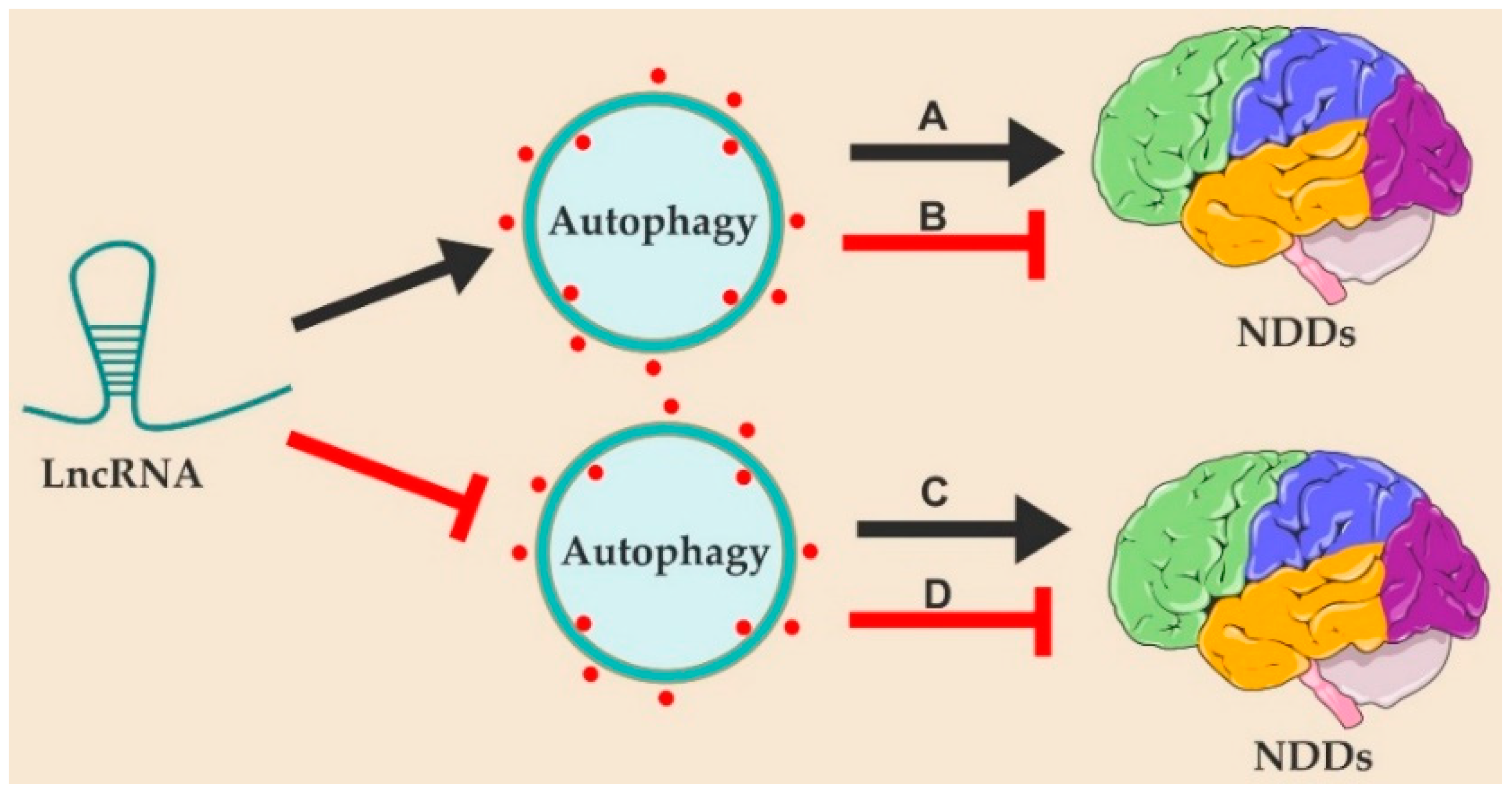 Ijms 24 09686 g001 Ijms 24 09686 g001