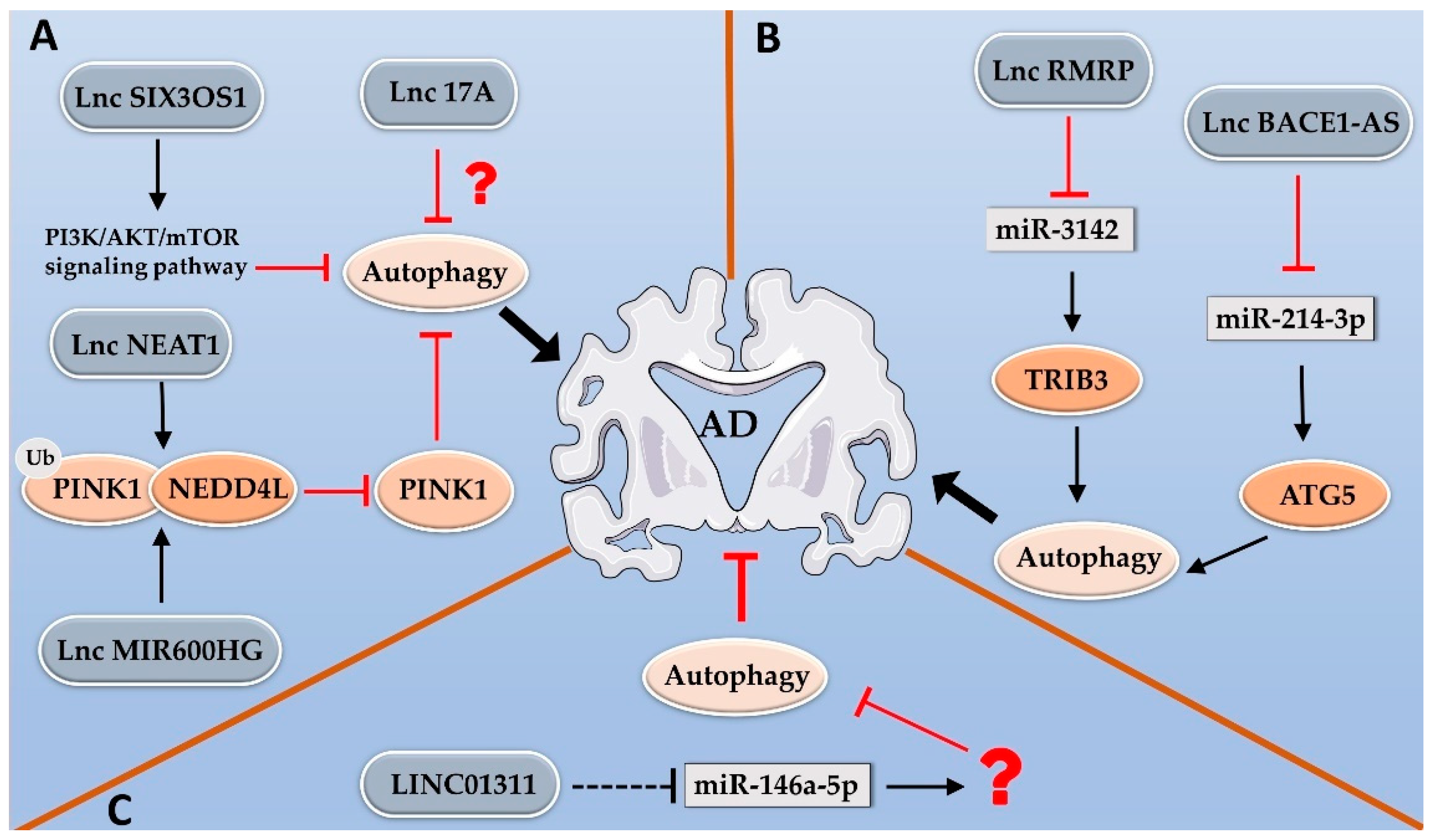 Ijms 24 09686 g002 Ijms 24 09686 g002