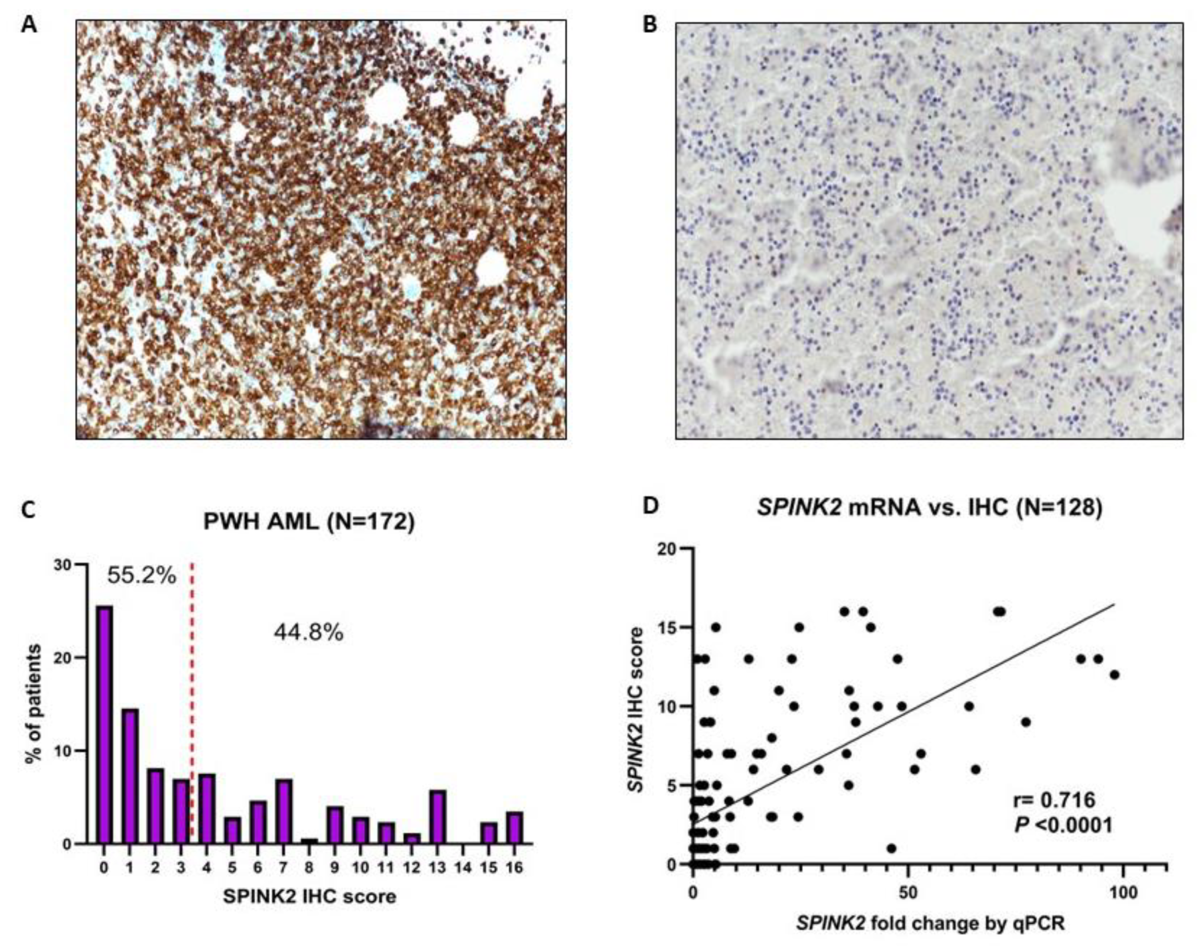 Ijms 24 09696 g001 Ijms 24 09696 g001
