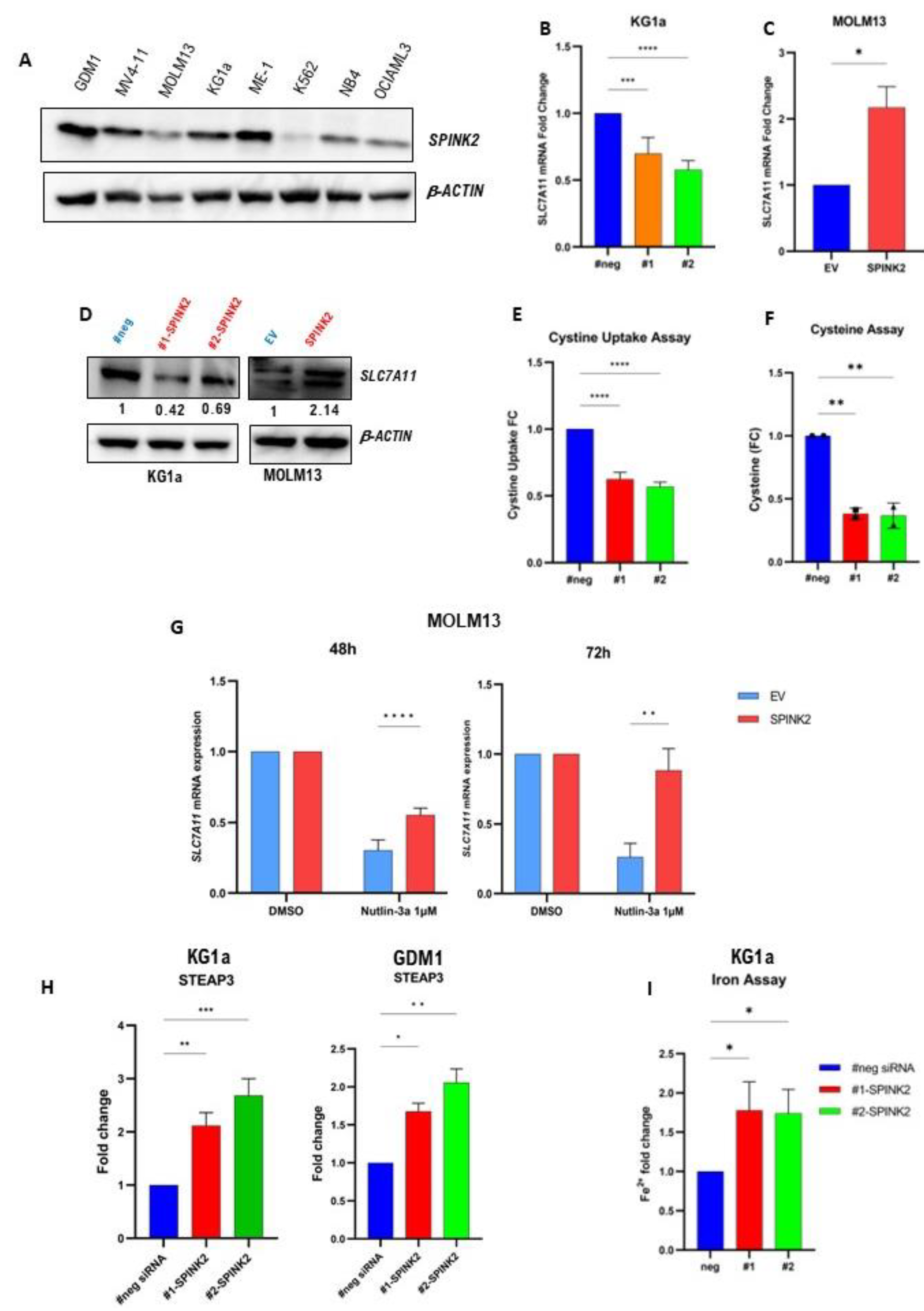 Ijms 24 09696 g003 Ijms 24 09696 g003