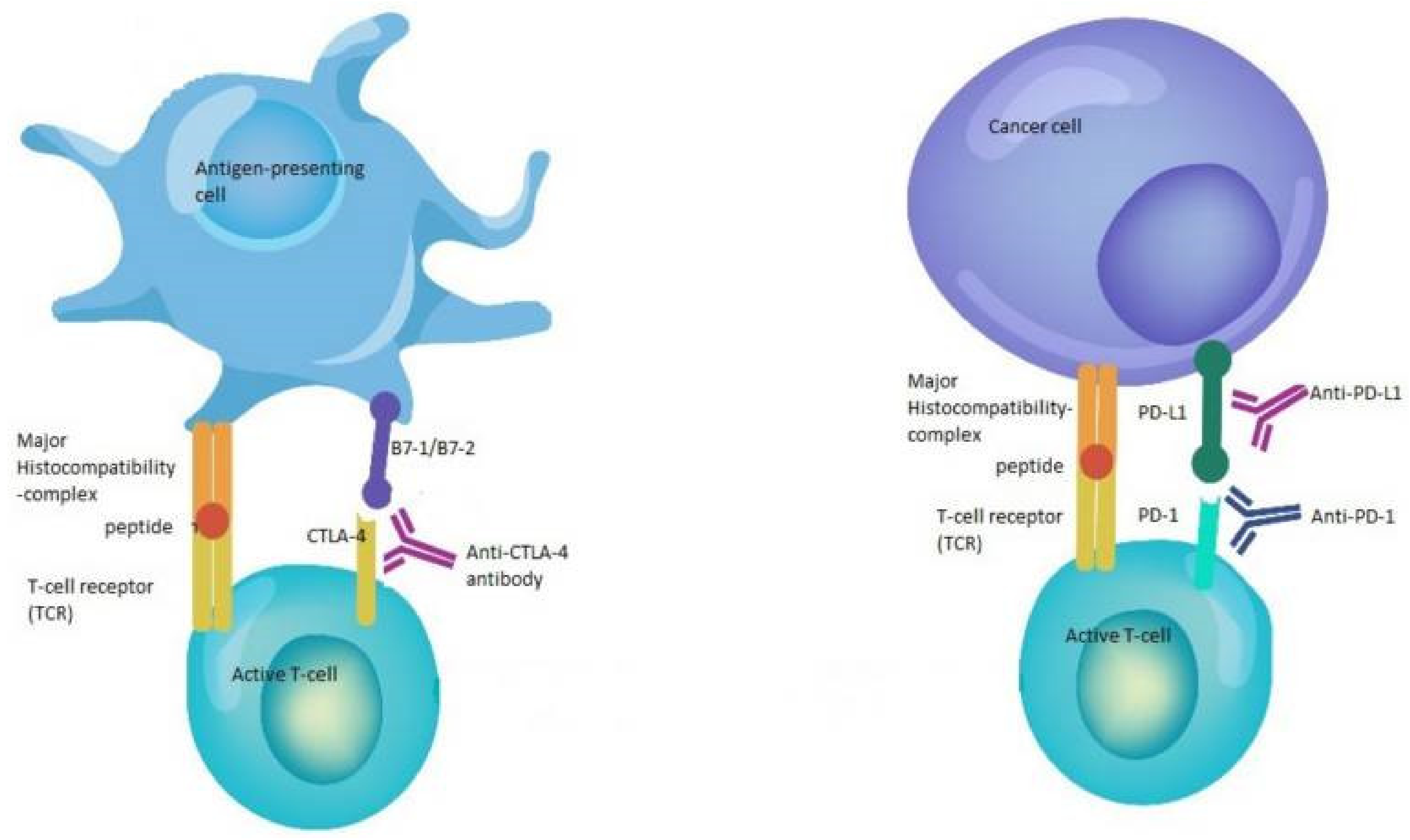 Ijms 24 09702 g001 Ijms 24 09702 g001