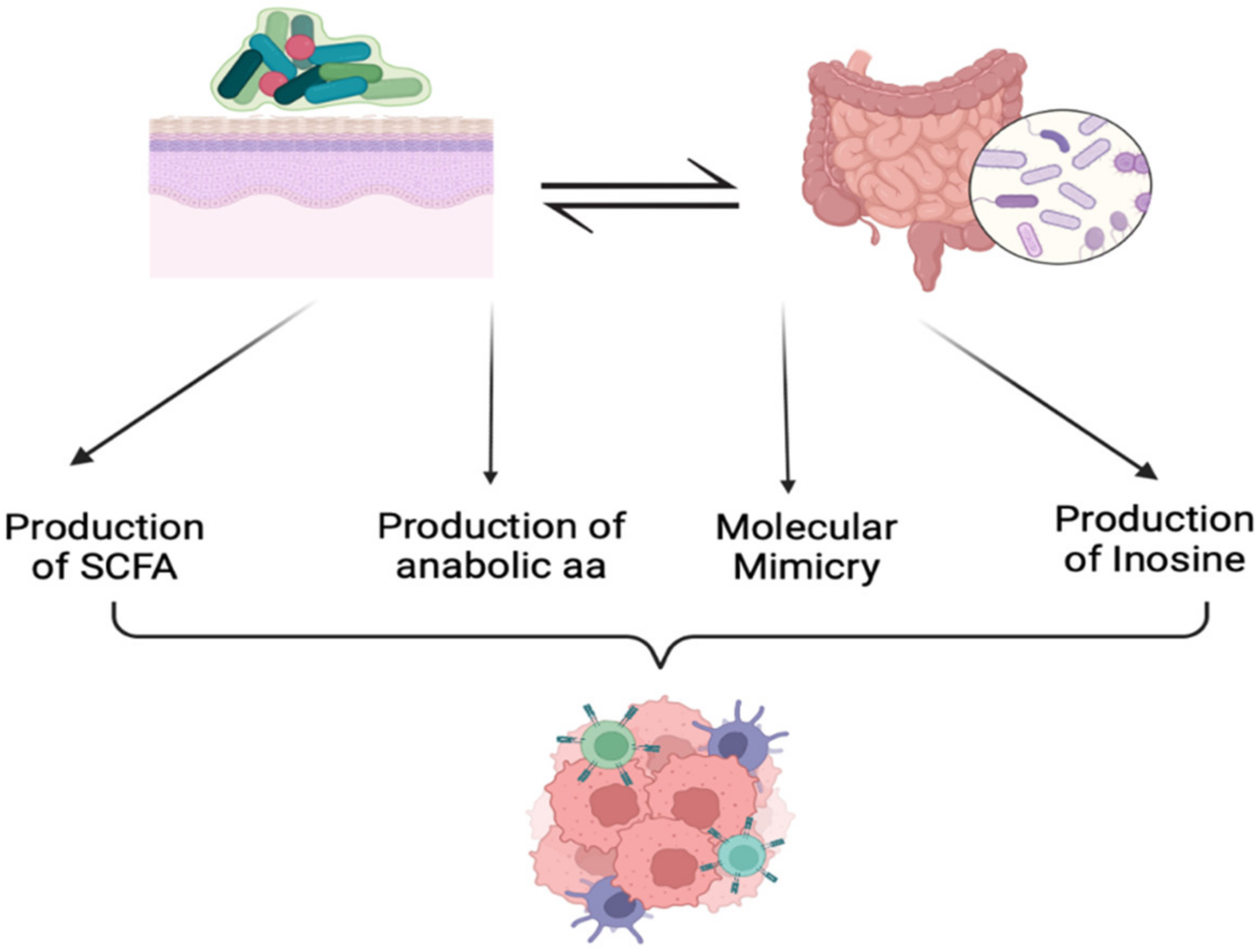 Ijms 24 09702 g002 Ijms 24 09702 g002