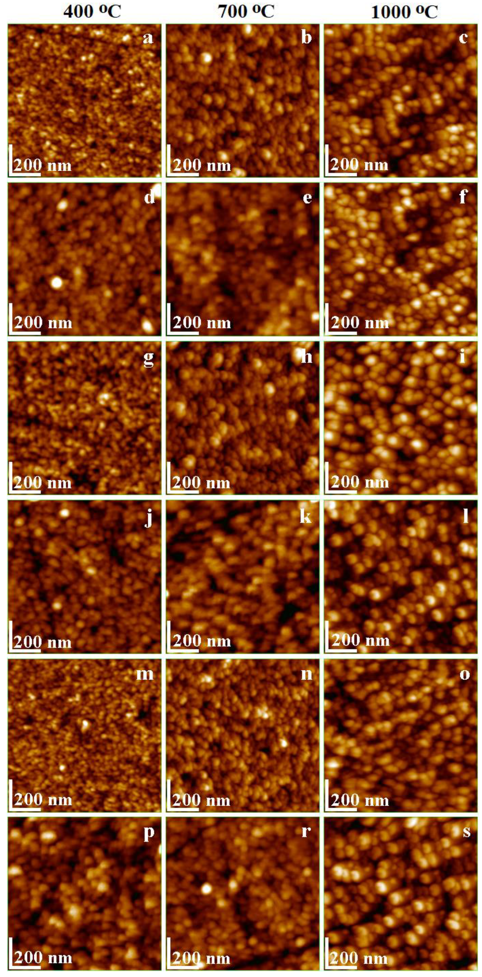 Ijms 24 09703 g006 Ijms 24 09703 g006