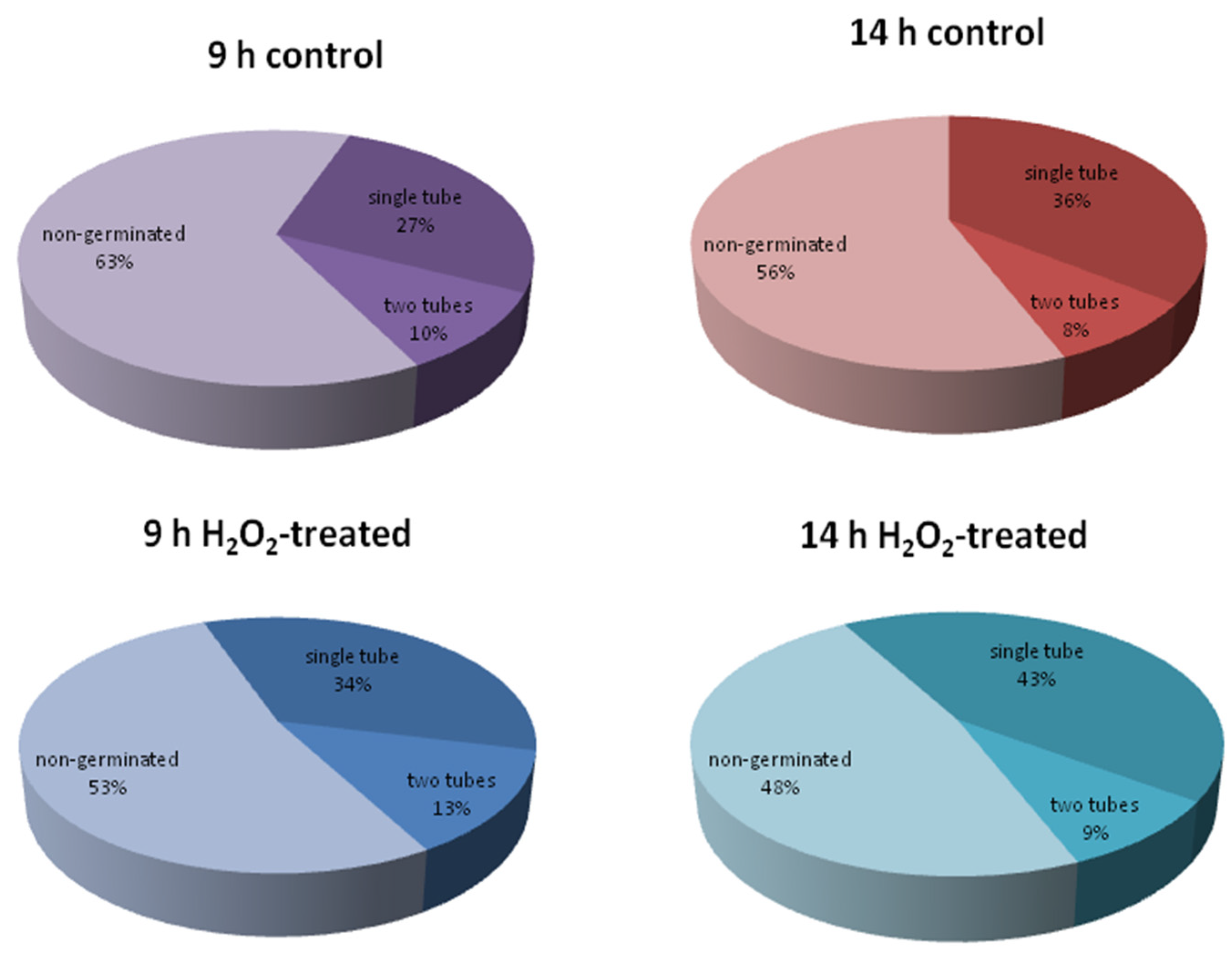 Ijms 24 09717 g005 Ijms 24 09717 g005