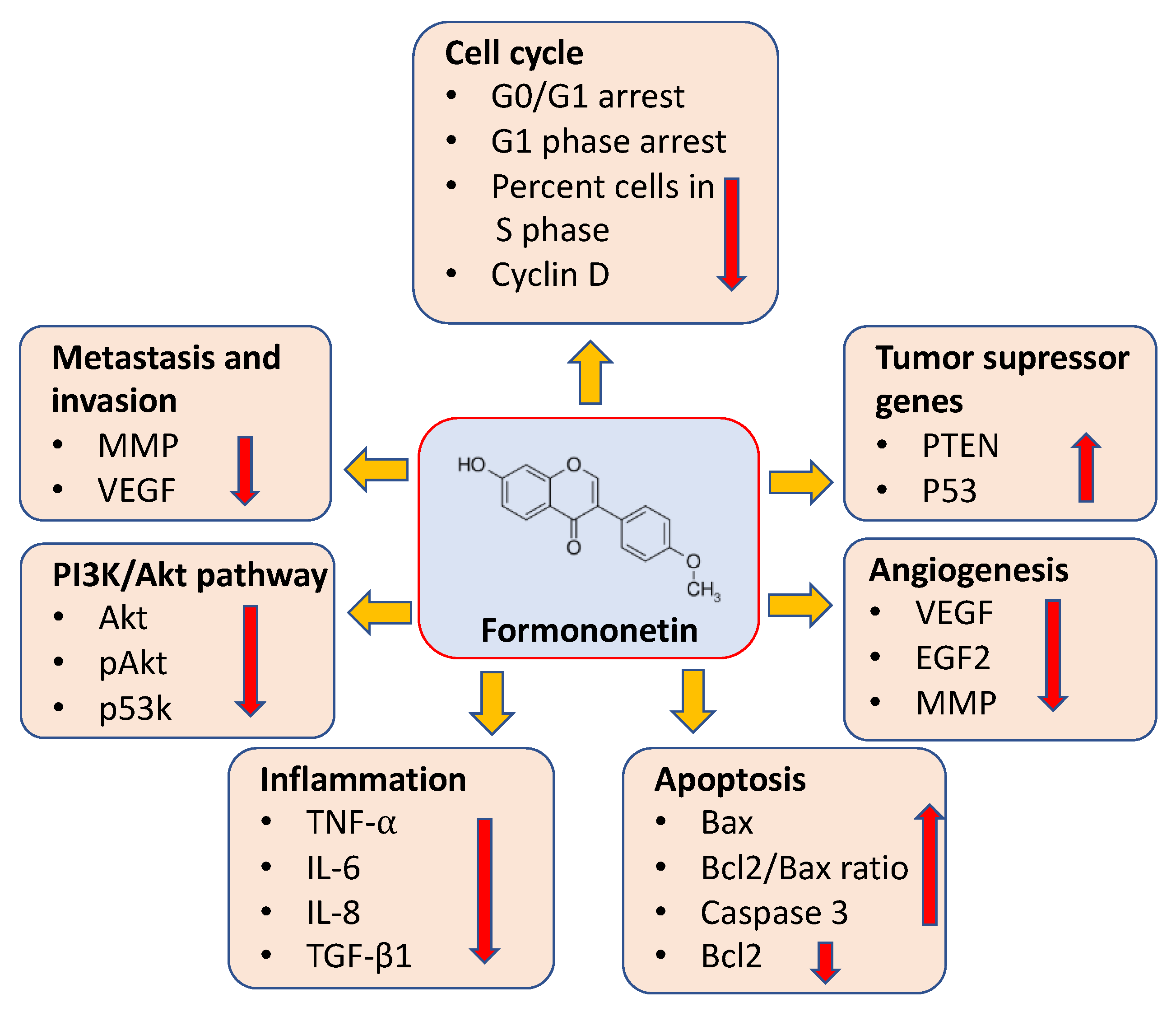 Ijms 24 09719 g002 Ijms 24 09719 g002