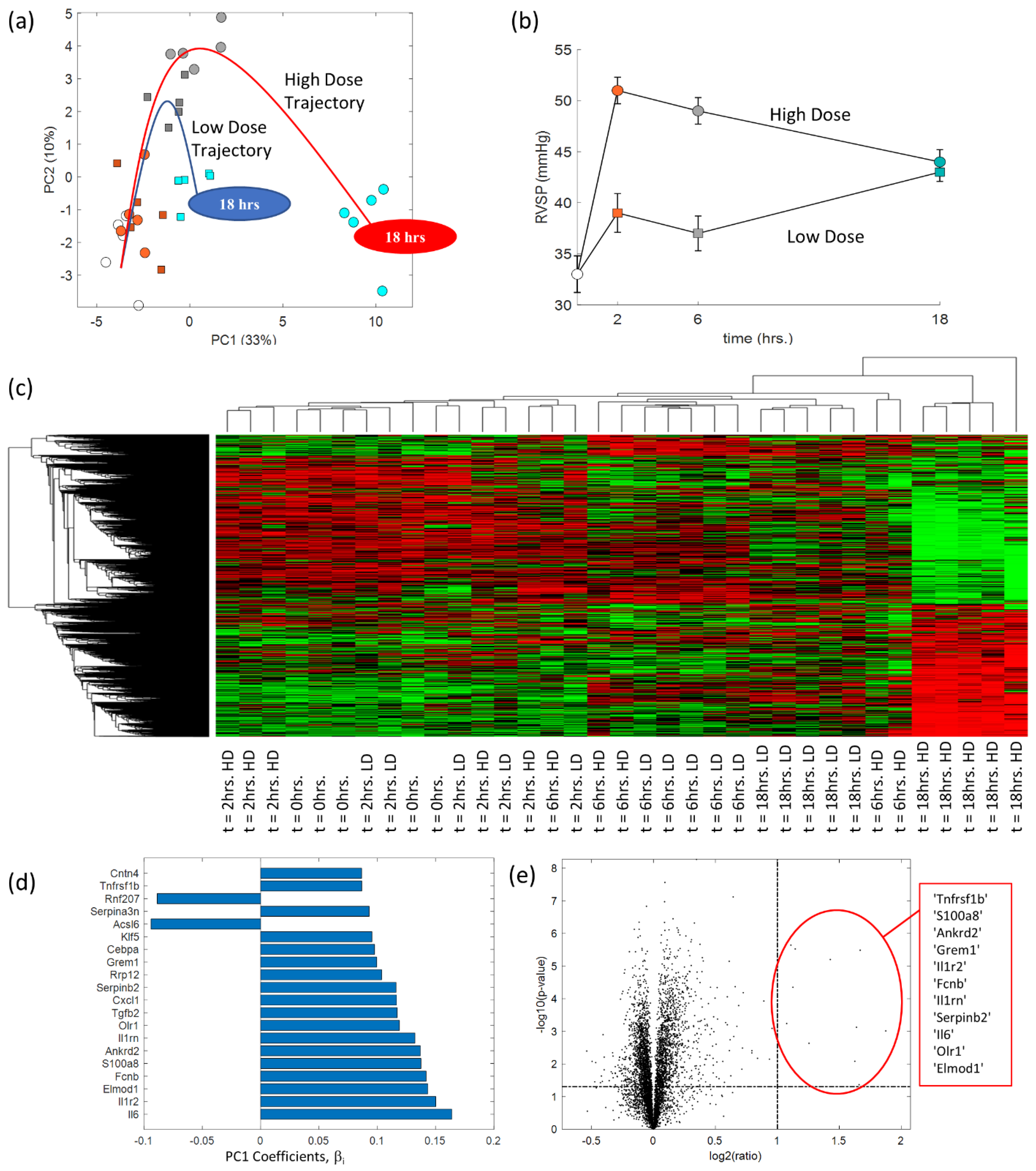 Ijms 24 09746 g001 Ijms 24 09746 g001