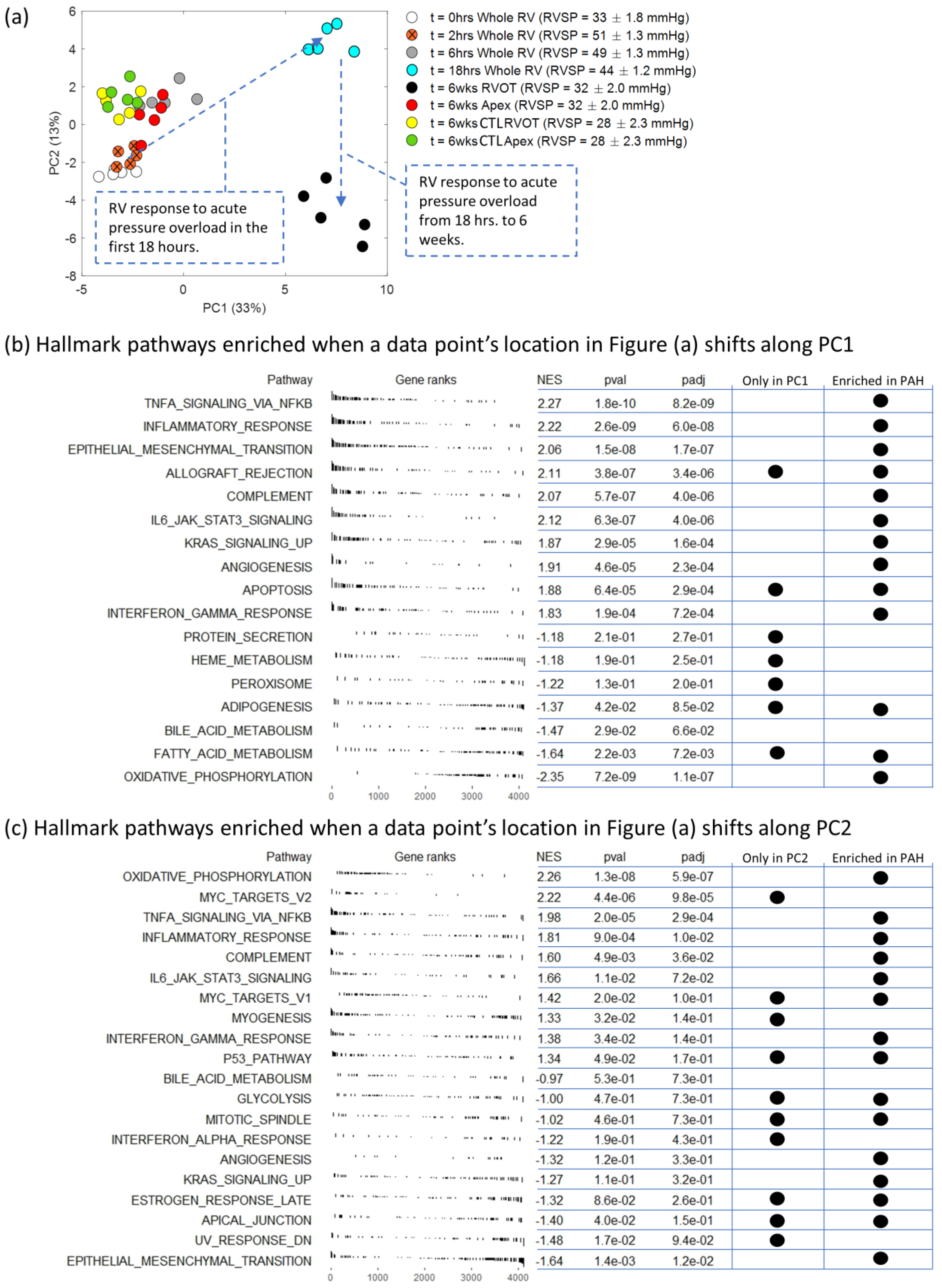 Ijms 24 09746 g003 Ijms 24 09746 g003